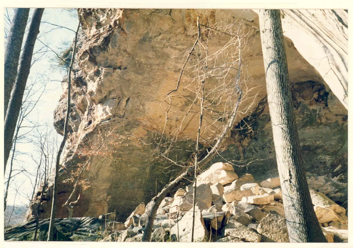 Bandits Cave bee site 1.jpg