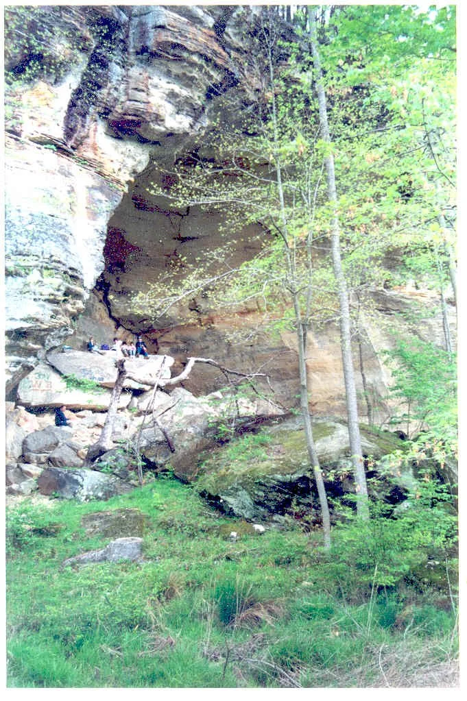Bandits Cave bee site 4.jpg