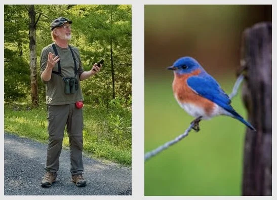 MIGRATE TO THE POLLS Birding Fundraiser June 6th (Rain Date June 7)