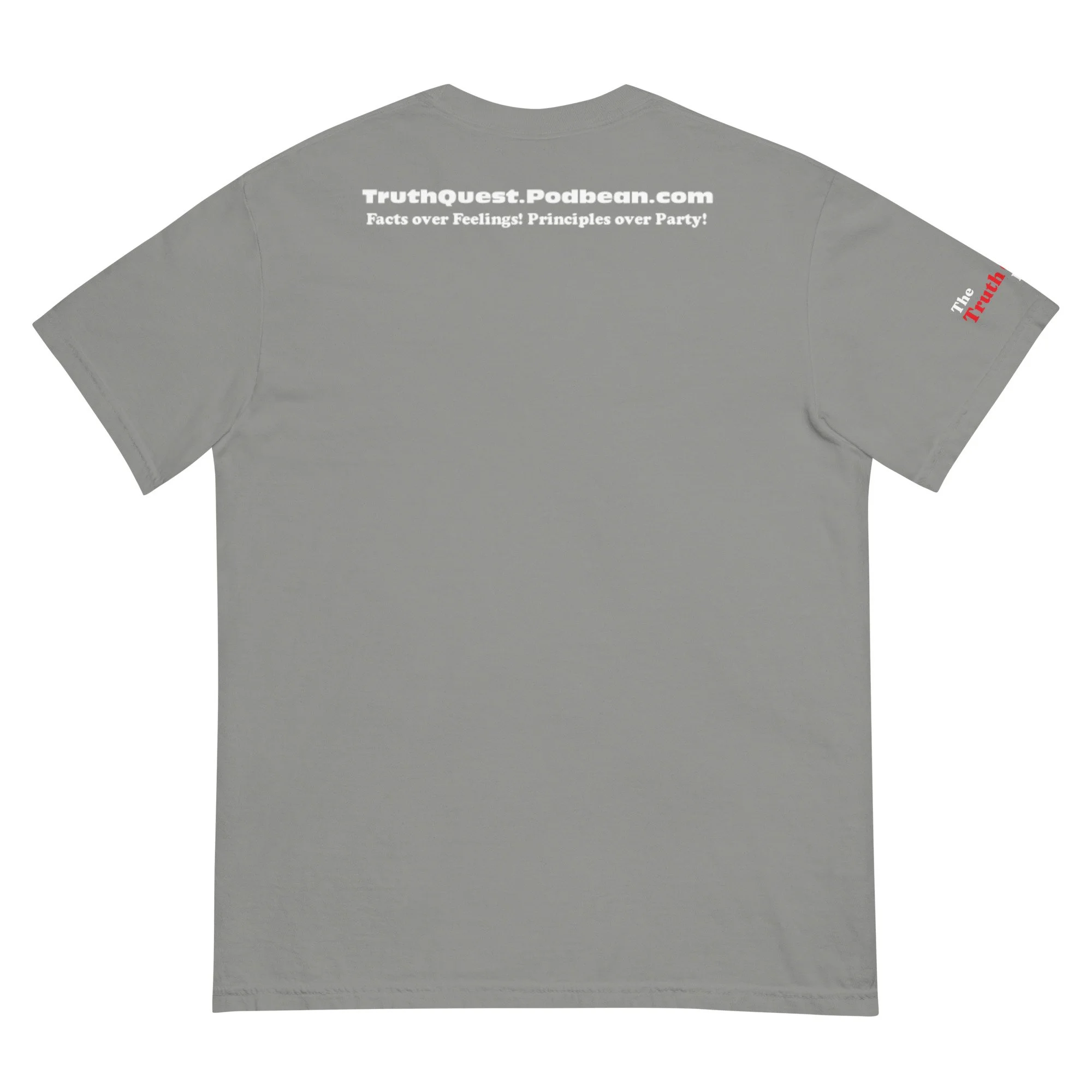 unisex-garment-dyed-heavyweight-t-shirt-grey-back-673aacc0a50cb.jpg