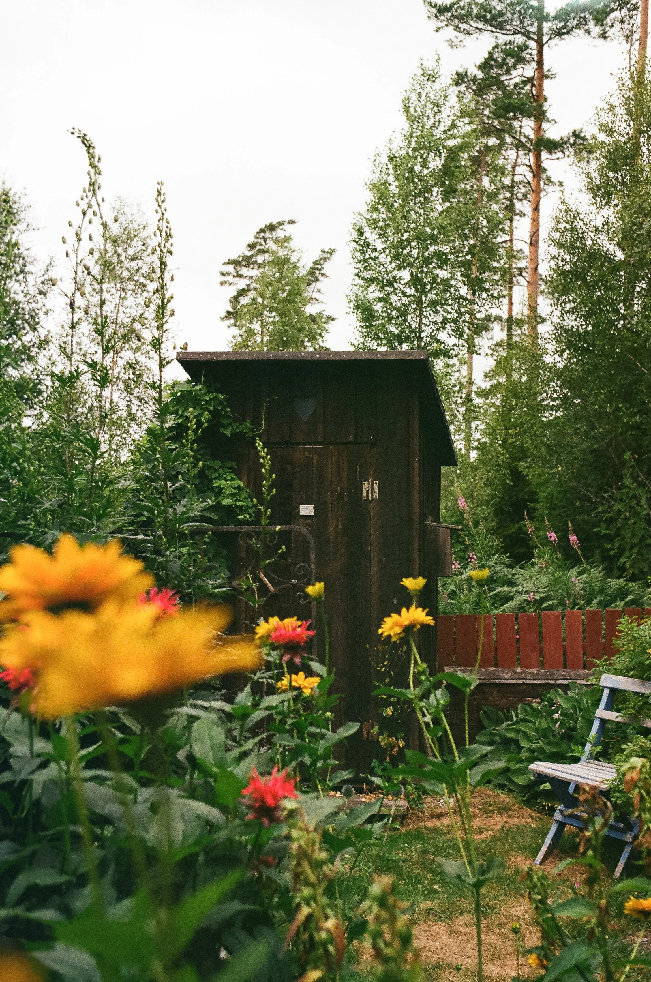 En trädgård med blommor och ett mörkt litet skjul eller förråd, omgiven av gröna buskar och träd.