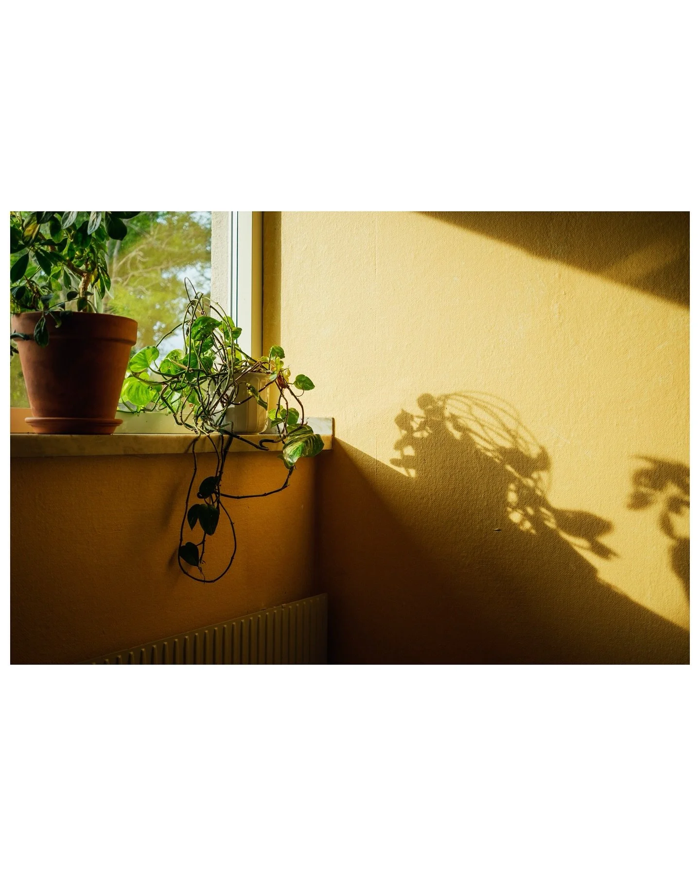 Sommarblandning, kanske &aring;rets sista.
.
.
#fujifilmnordic 
#fujifilmglobal 
#fujifeed 
#woofermagazine 
#framelinesmag 
#thisaintartschool 
#everydayeverywhere 
#thinkverylittle 
#outofservicemag 
#ifyouleave