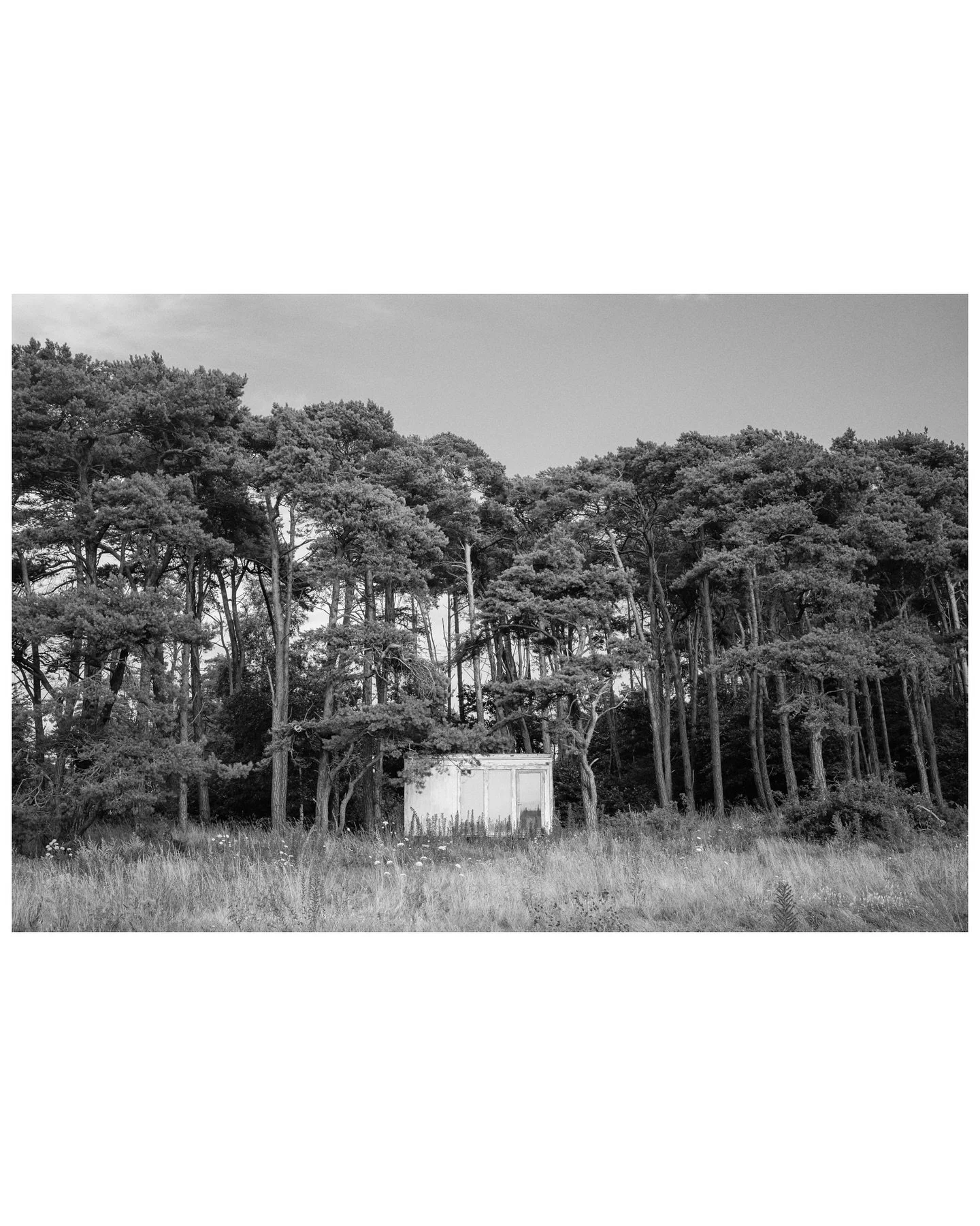 Ett litet litet skjul bland stora stora tr&auml;d.
.
.
#fujifilmglobal 
#fujifilmnordic 
#fujifeed 
#ifyouleave 
#woofermagazine 
#framelinesmag 
#outofservicemag 
#thinkverylittle 
#thisaintartschool 
#burnmagazine