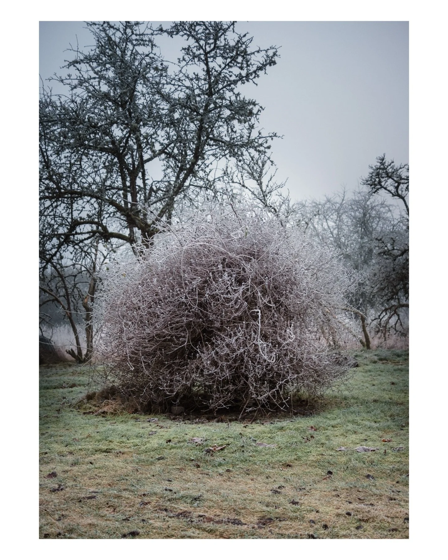 Bilder fr&aring;n hemmavid.
.
.
#fujifilmglobal 
#fujifilmnordic 
#woofermagazine 
#framelinesmag 
#ifyouleave