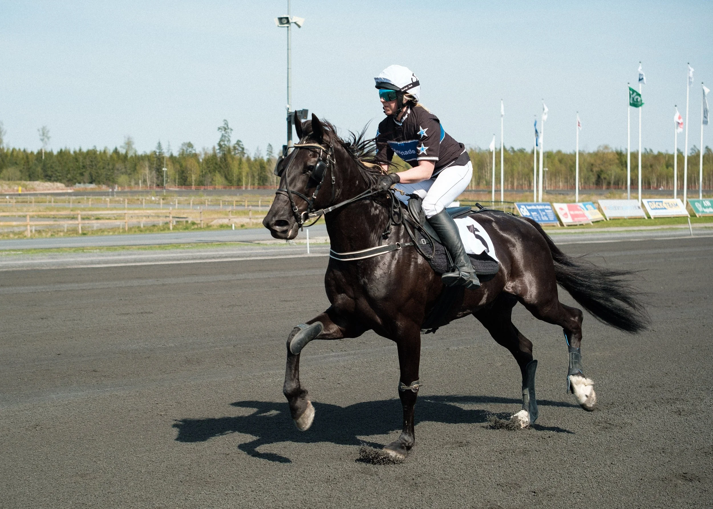 En kvinna rider på en mörk häst på en tävlingsbana under en klar dag, med flaggor och träd i bakgrunden.