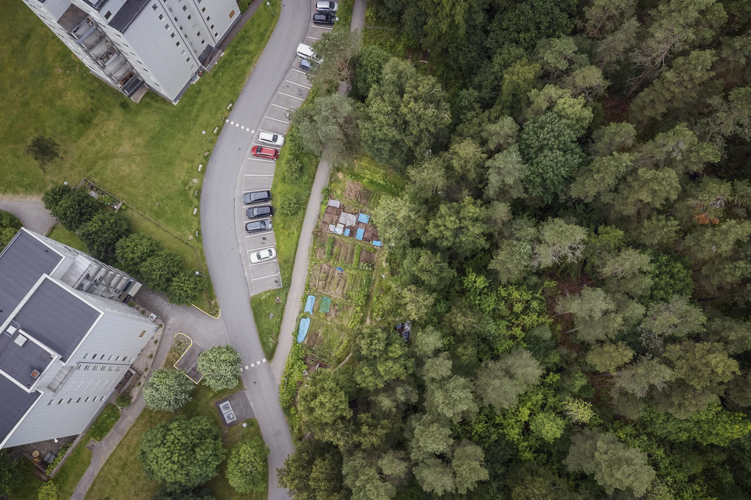 LOFVALL_060726-0056-Redigera.jpg