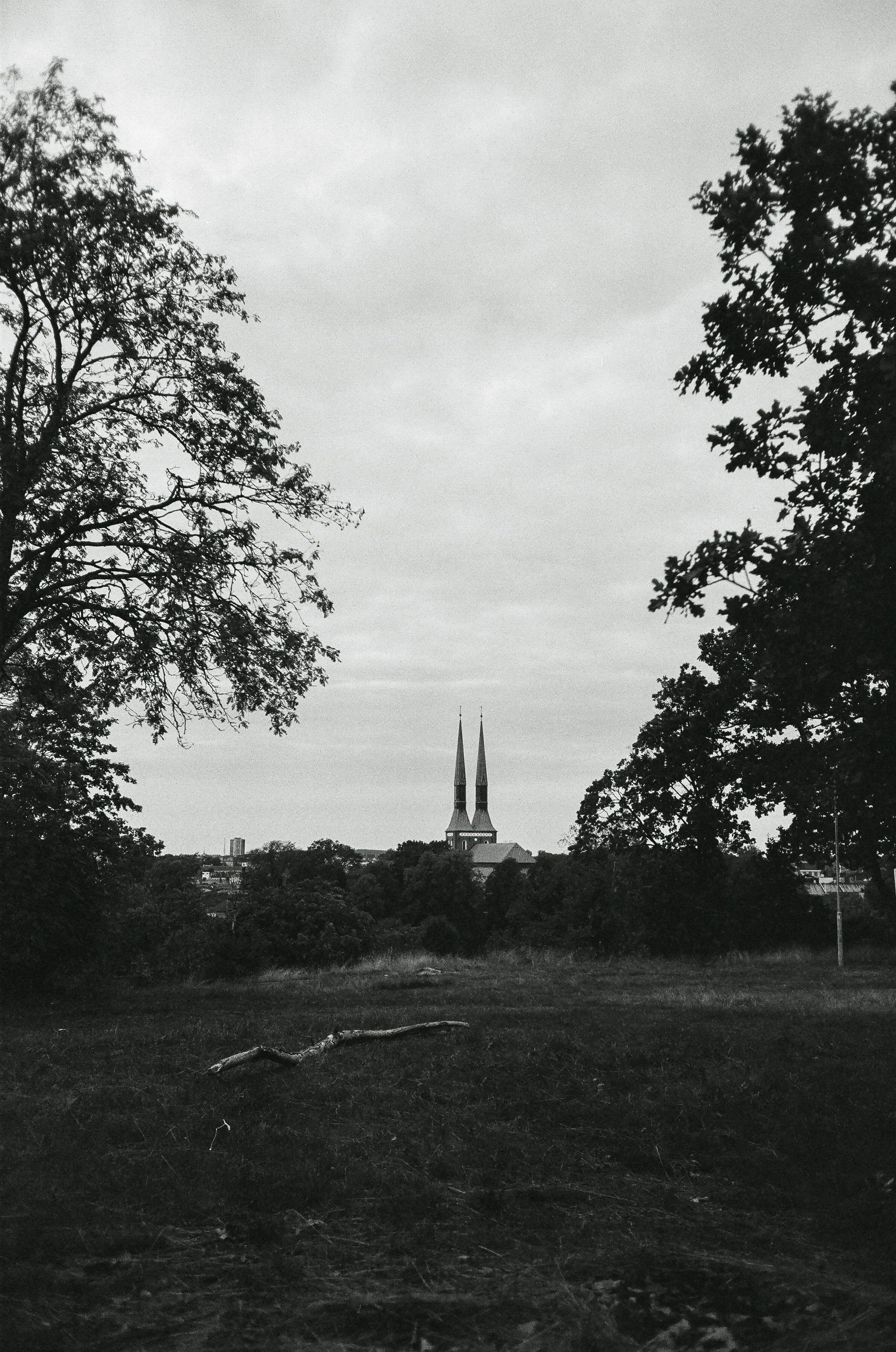 En svartvit bild av ett landskap med träd och en kyrkobyggnad med två höga torntorn i fjärran.