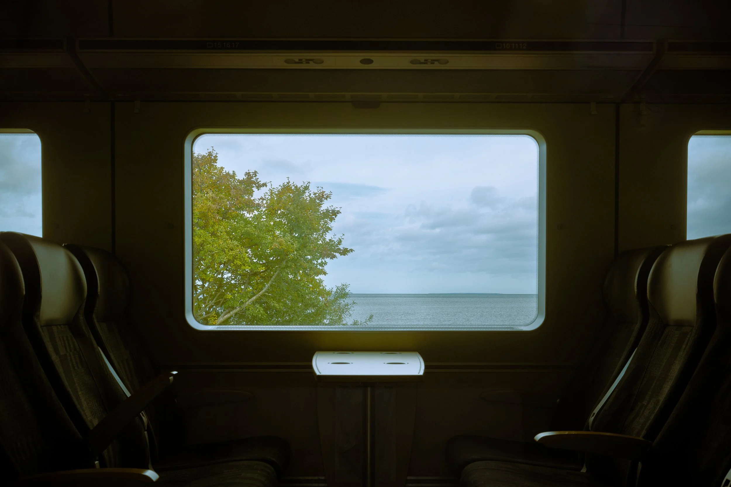 Utsikt genom ett tågfönster som visar ett träd med gröna blad, ett hav och en del av himlen med moln.