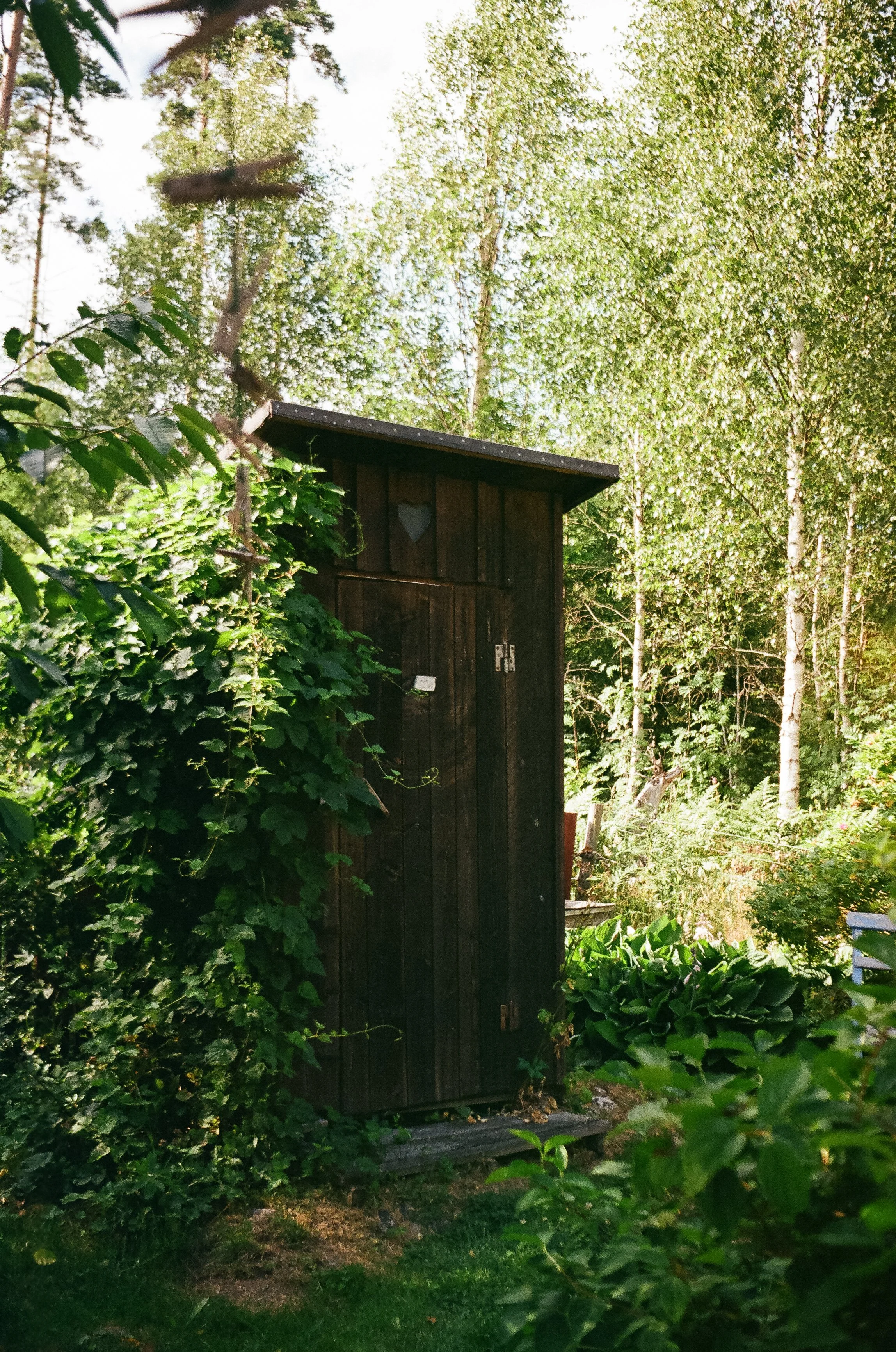 Utedass med mörk träkonstruktion, omgiven av gröna växter och träd.