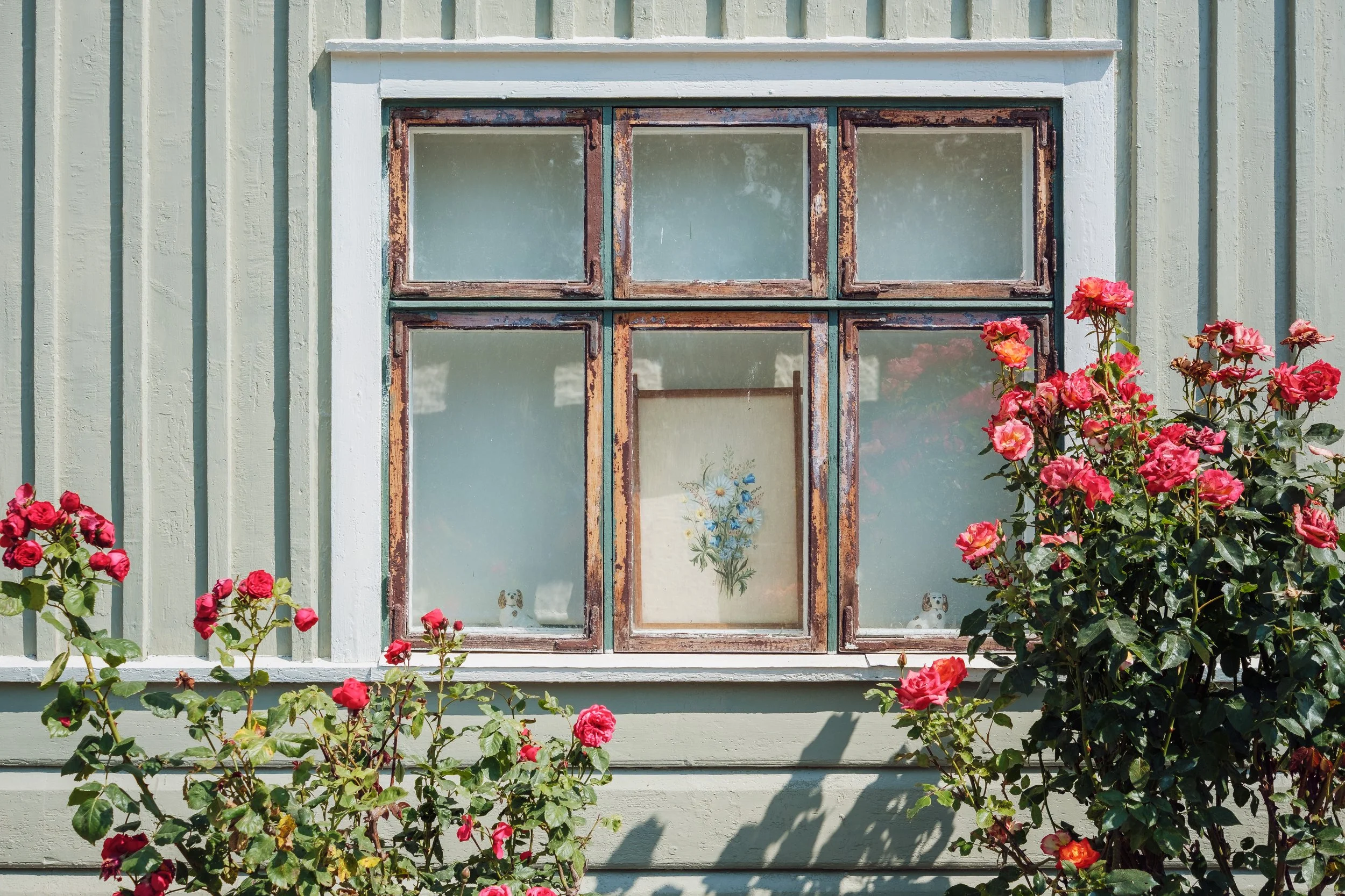 Fönster på ett grönt hus med rosor utanför.