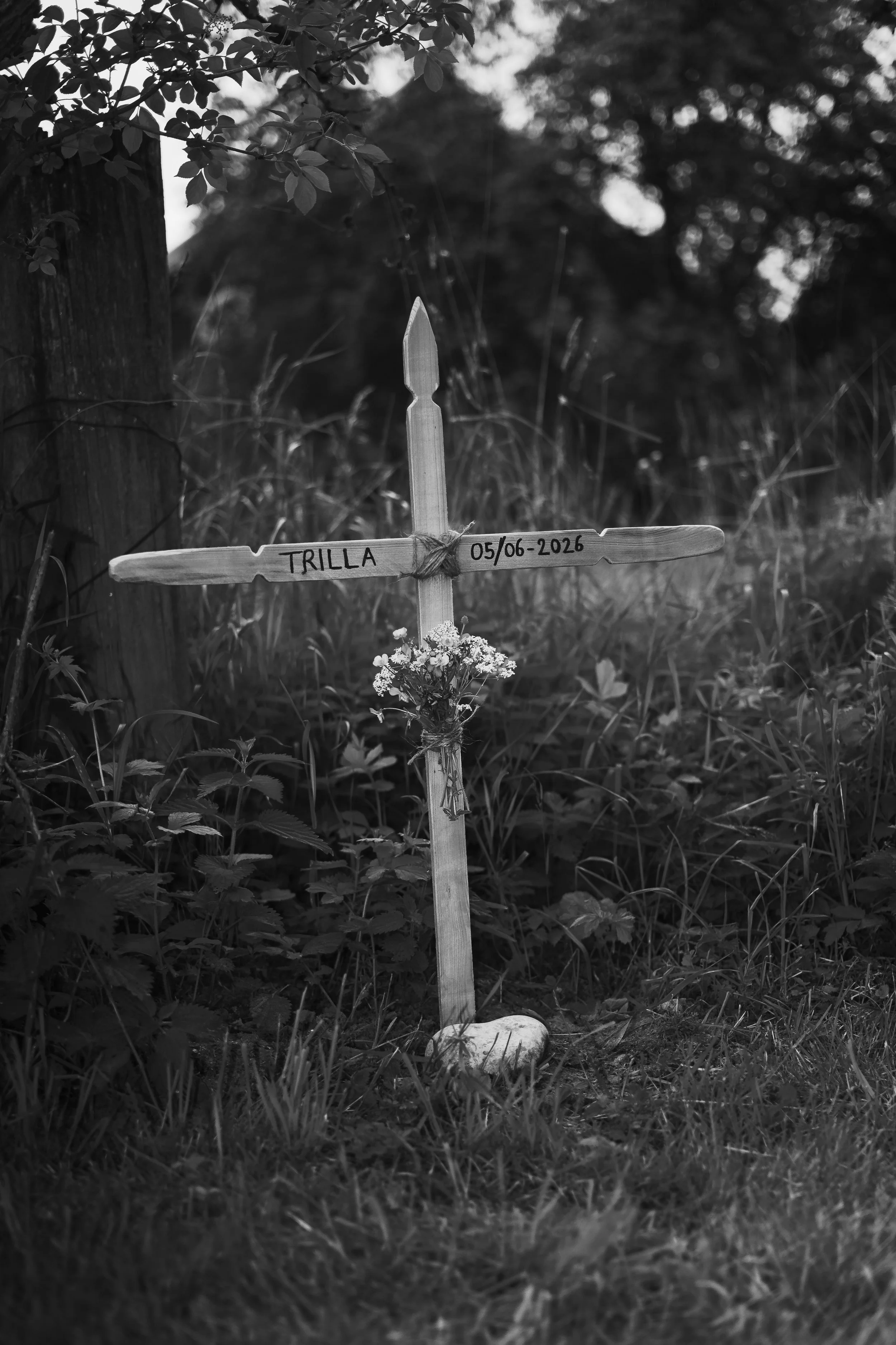 LOFVALL_050626-7532-Redigera.jpg