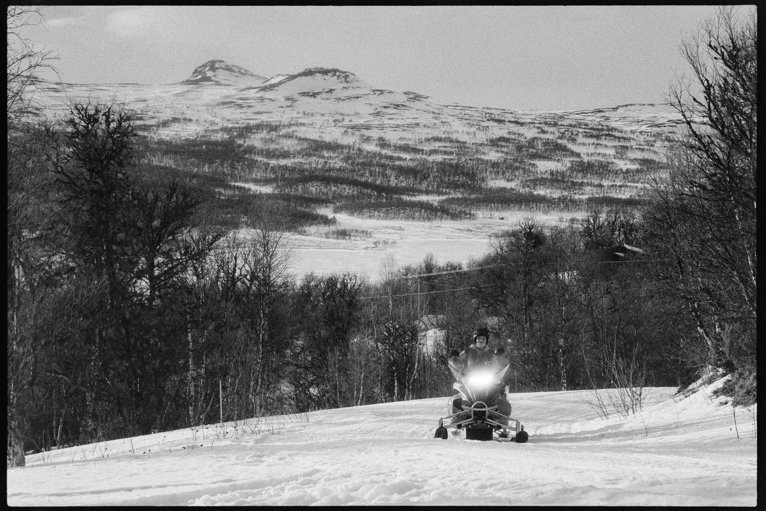 En person åker snöskoter på en snötäckt väg med träd på sidorna och berg i bakgrunden.
