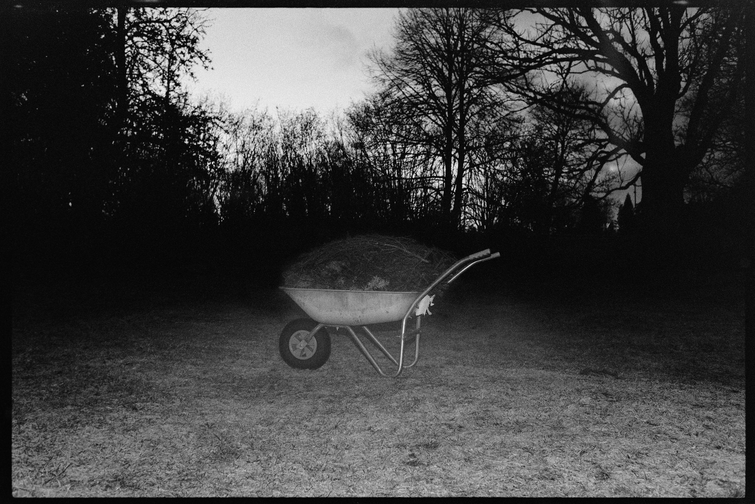 En tom trädgård med ett vagn fyllt med gräs, ståendes på marken samt ett träd i bakgrunden under en cloudy kväll.