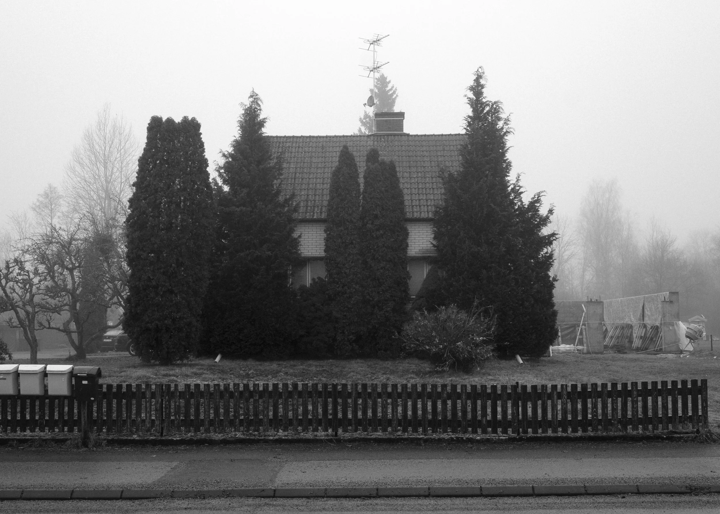 Ett hus omgivet av höga träd, med en träfågel och ett stängsel framför, i en dimmig miljö.