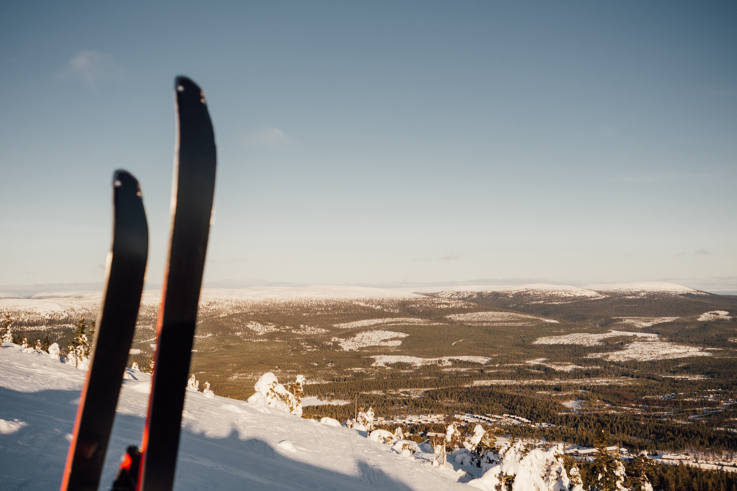 Två skidor står i snön med en bergs- och skogsscen i bakgrunden under en klar dag.