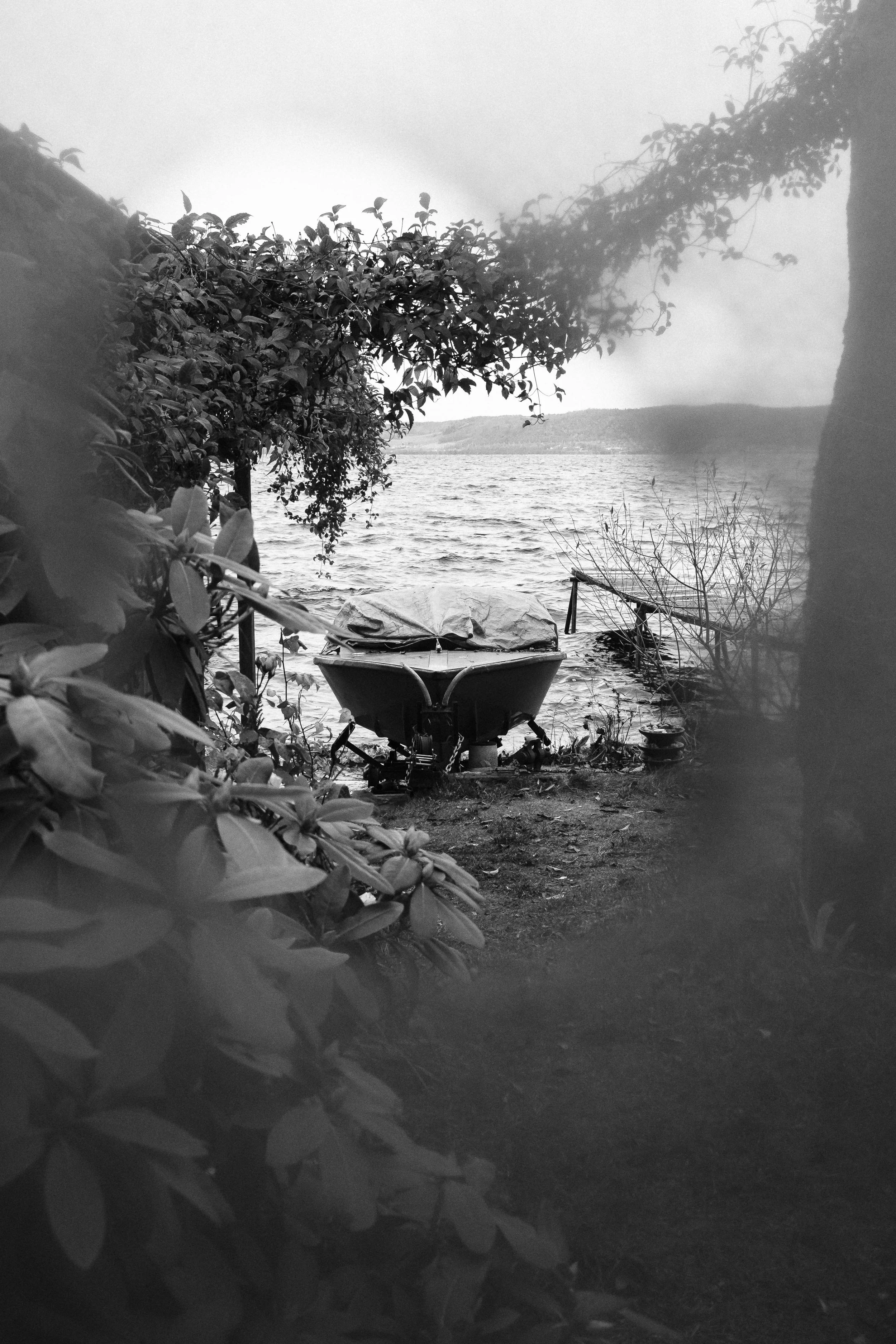 En båt på en strand, omgiven av växter och vatten, i svartvitt.