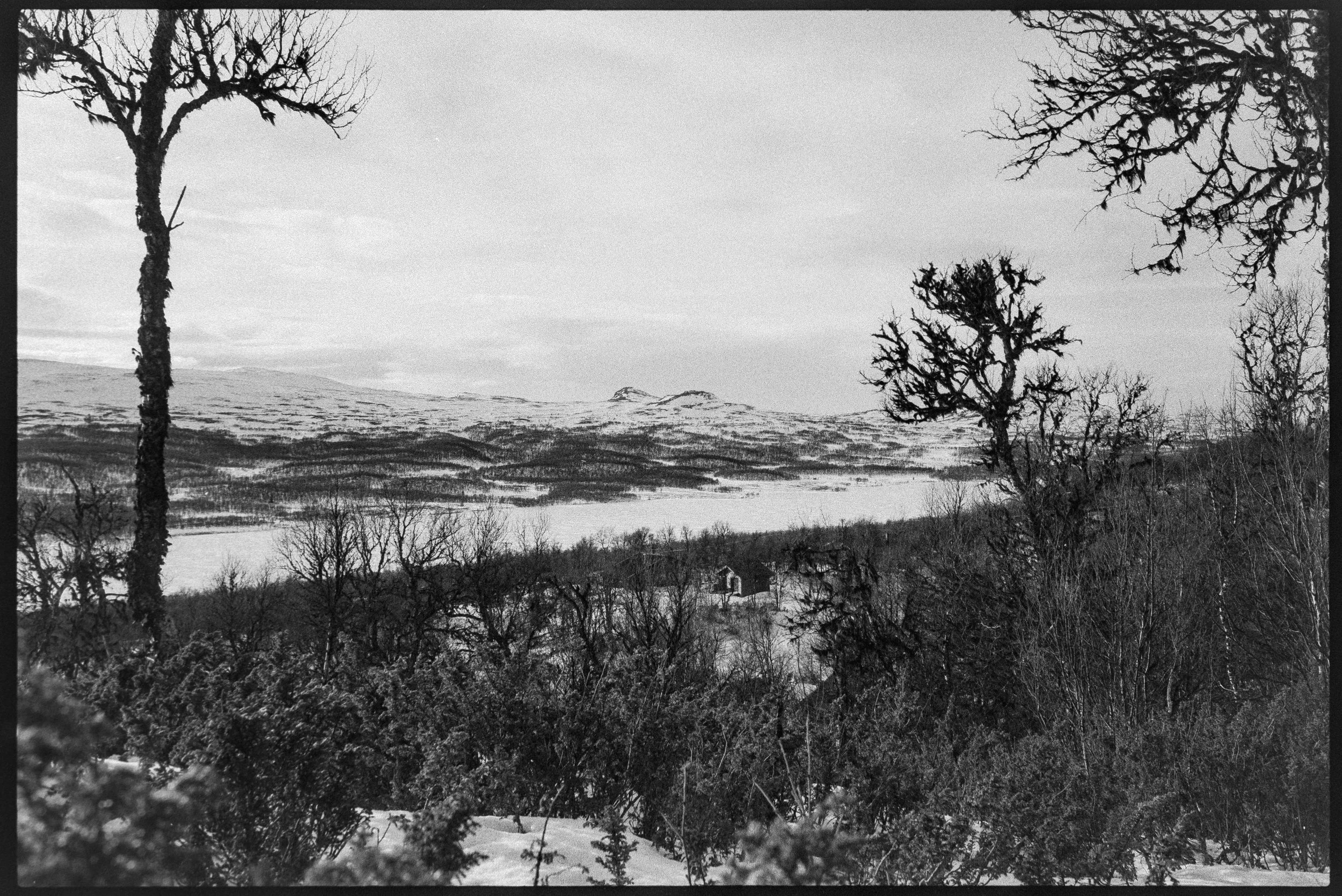 Vinterlandskap med snötäckta träd och en sjö omgiven av berg i bakgrunden, svartvitt bild.