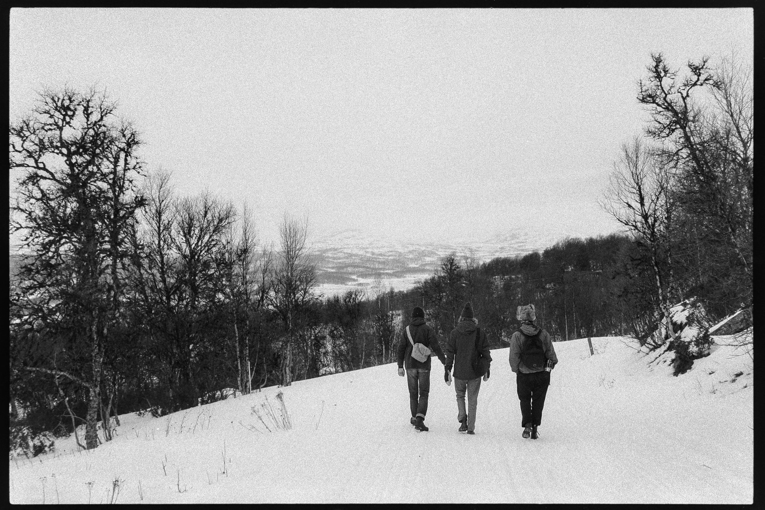 tre personer går på snöklädd stig omgiven av träd, vinterlandskap i bakgrunden, svartvitt