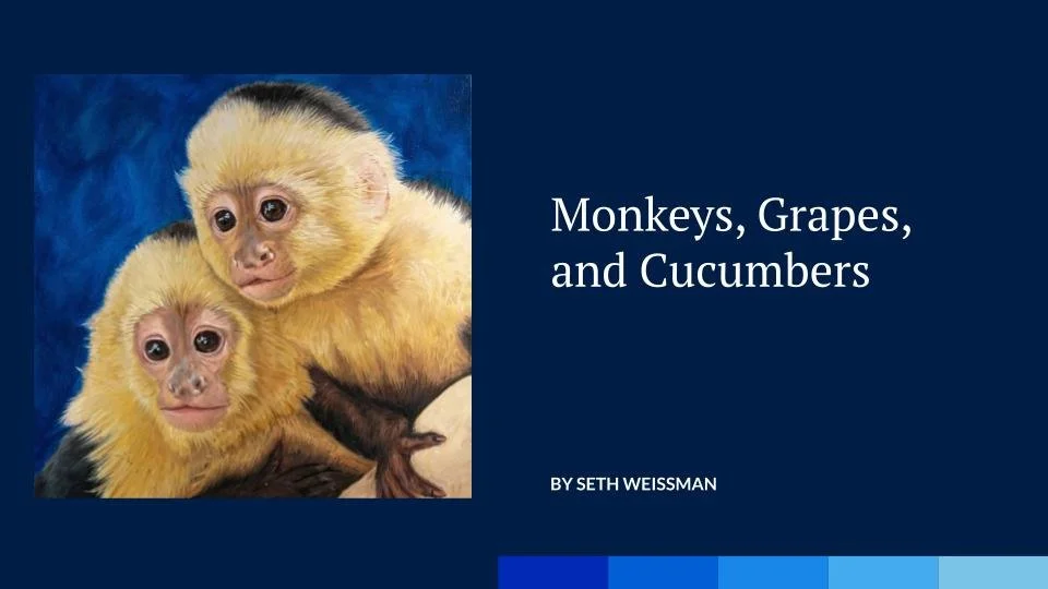 Monkeys, Grapes, and Cucumbers — Seth Weissman Coaching & Consulting