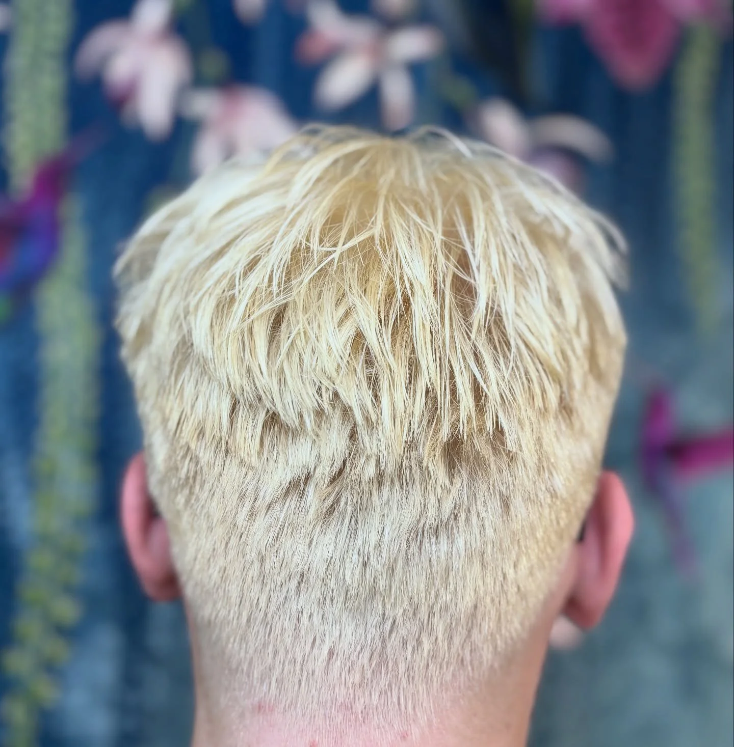 When in doubt, bleach it out 💁&zwj;♀️💁&zwj;♂️💁 Swipe for the before! Bleach by: Liz 🤍 Cut by: Richard @richardscorer @haringtonshair #bleach #shorthair #shorthairbleach #bleachblonde #blondehair #blondeinspo #hairinspo #beforeandafter