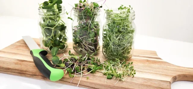 Forest City MicroGreens