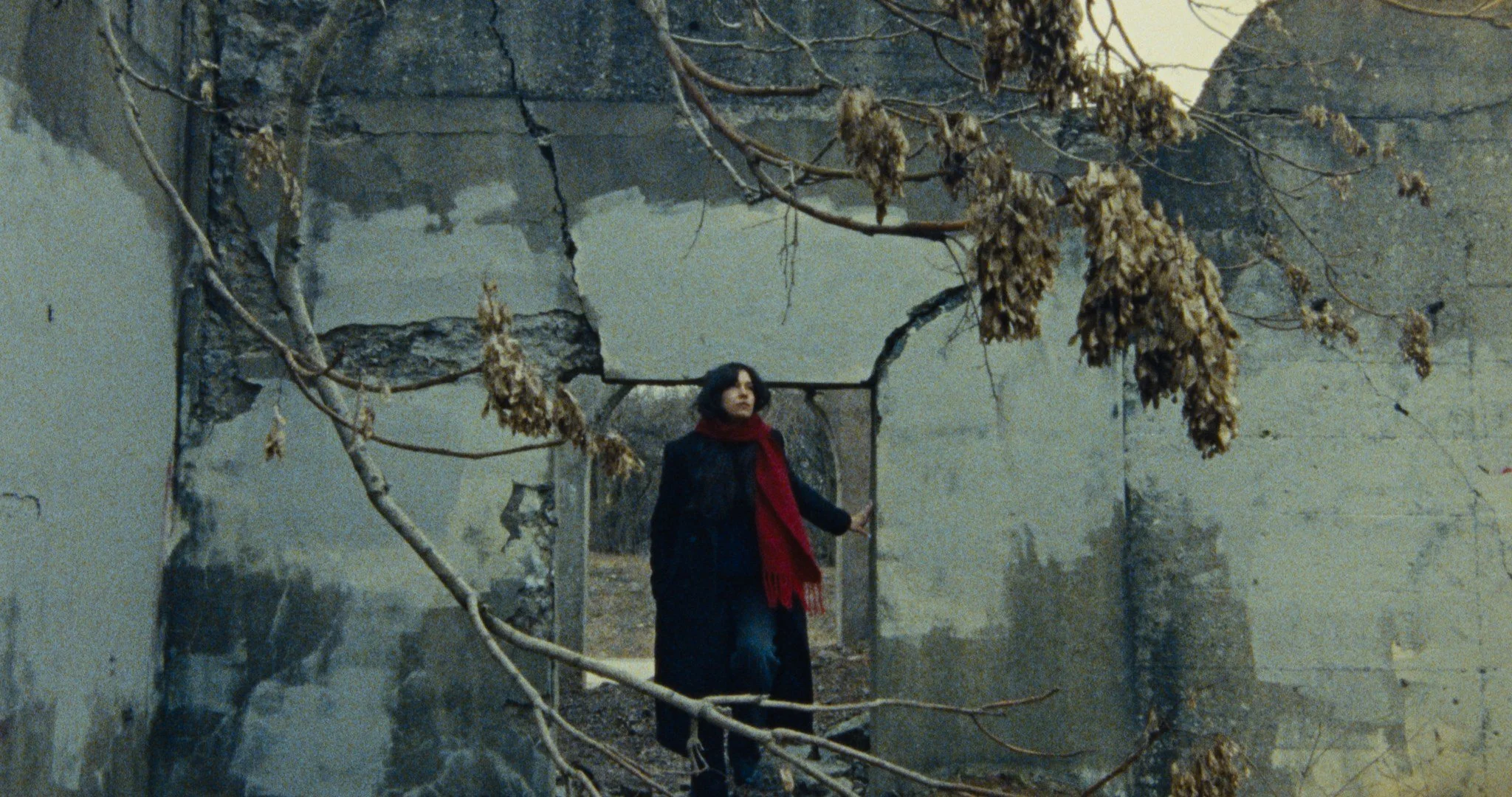 s16 SR1 roll 001_1.1.2.jpg