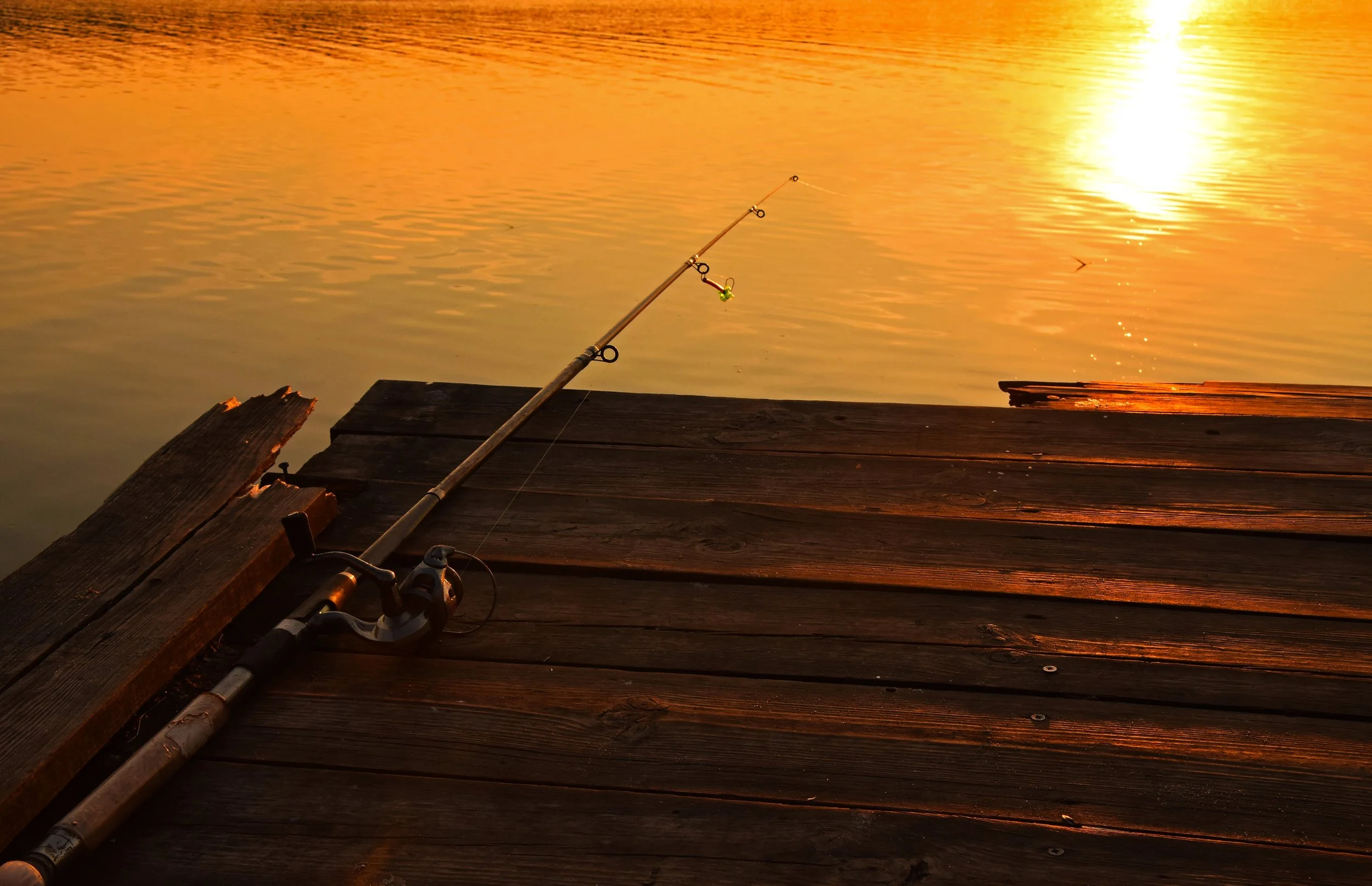 Fishing Without Bait 529: A Reintroduction to Fishing Without Bait
