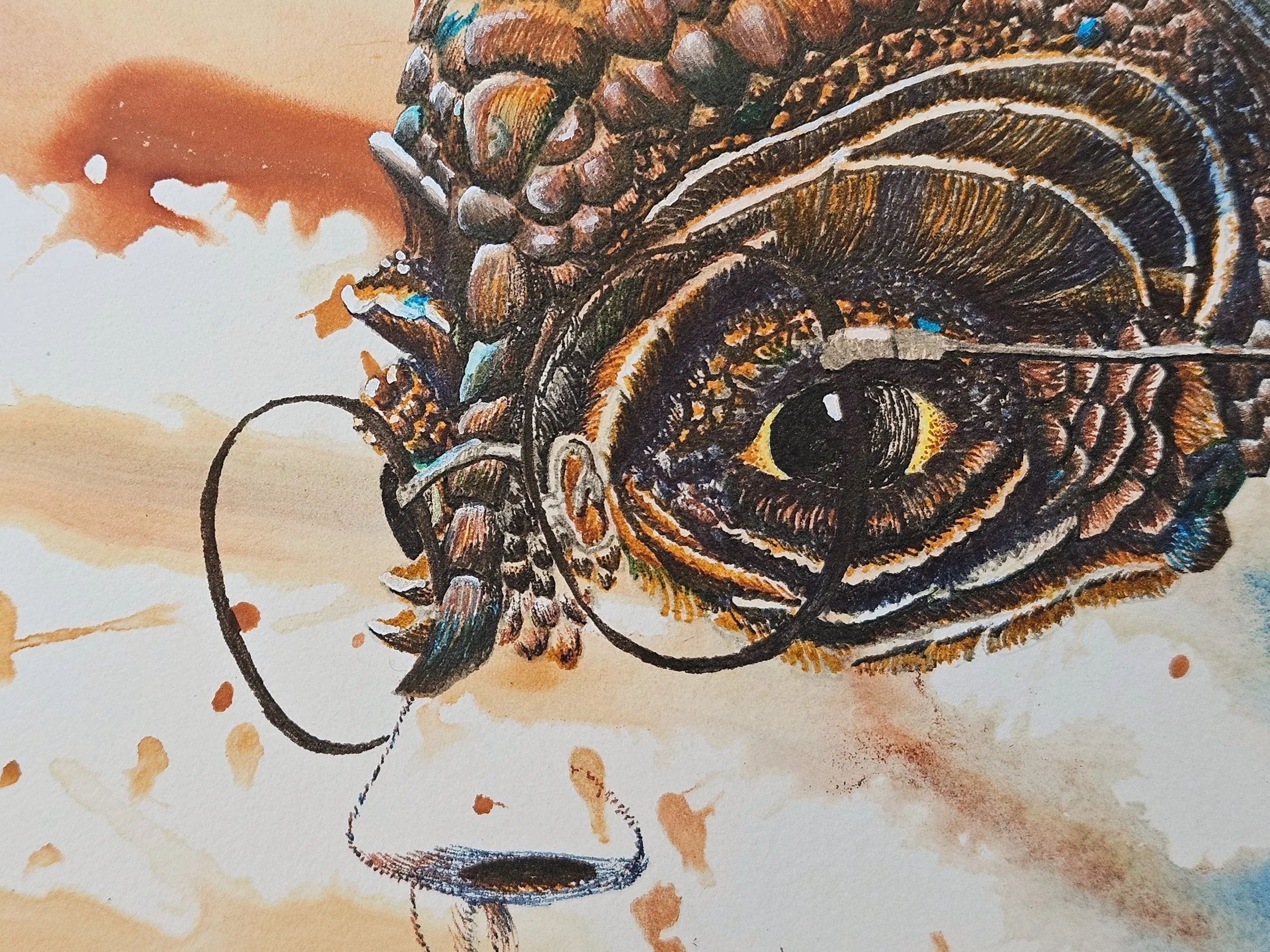 SPaWFL2 detail.jpg