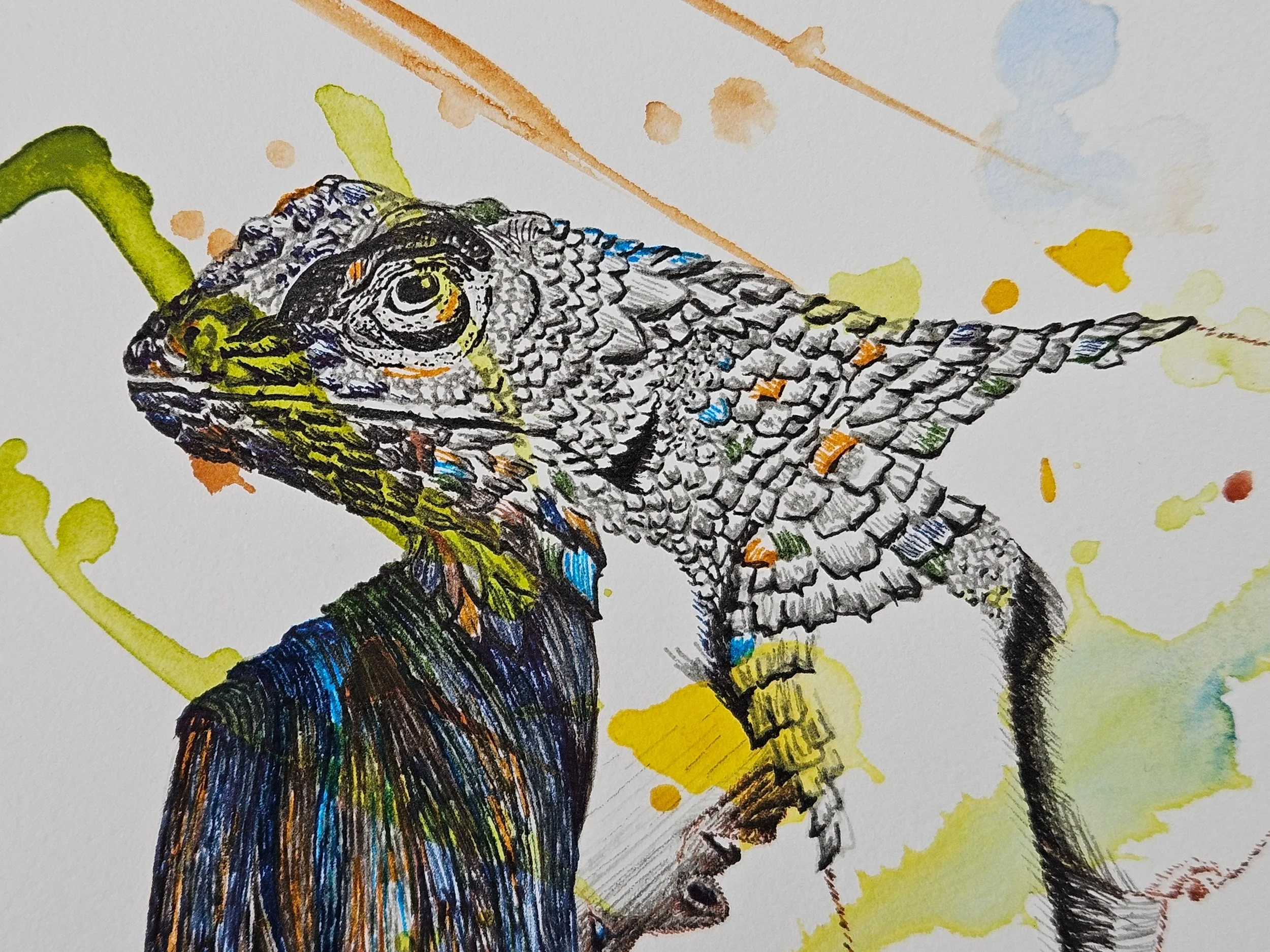 SPaWFL1 detail.jpg