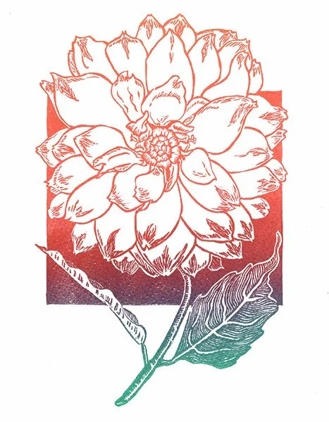 "Scarlet Rainbow Dahlia", Limited variable edition linocut print, 8"x10"