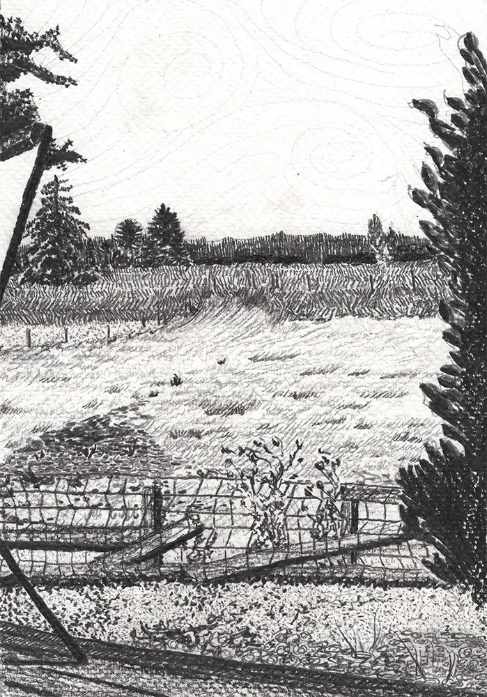 Pen, Ink, Pencil