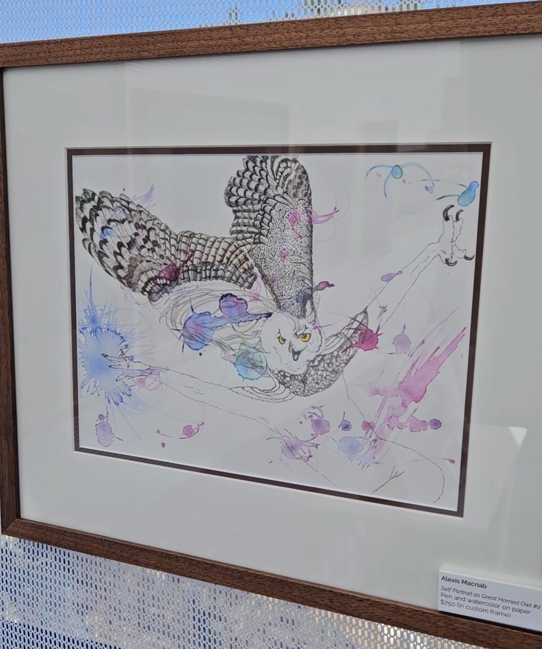 SPaGHO framed and in tent.jpg