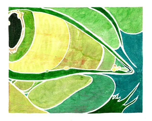 Body Topography - Green Eye 2023 10x8.jpg