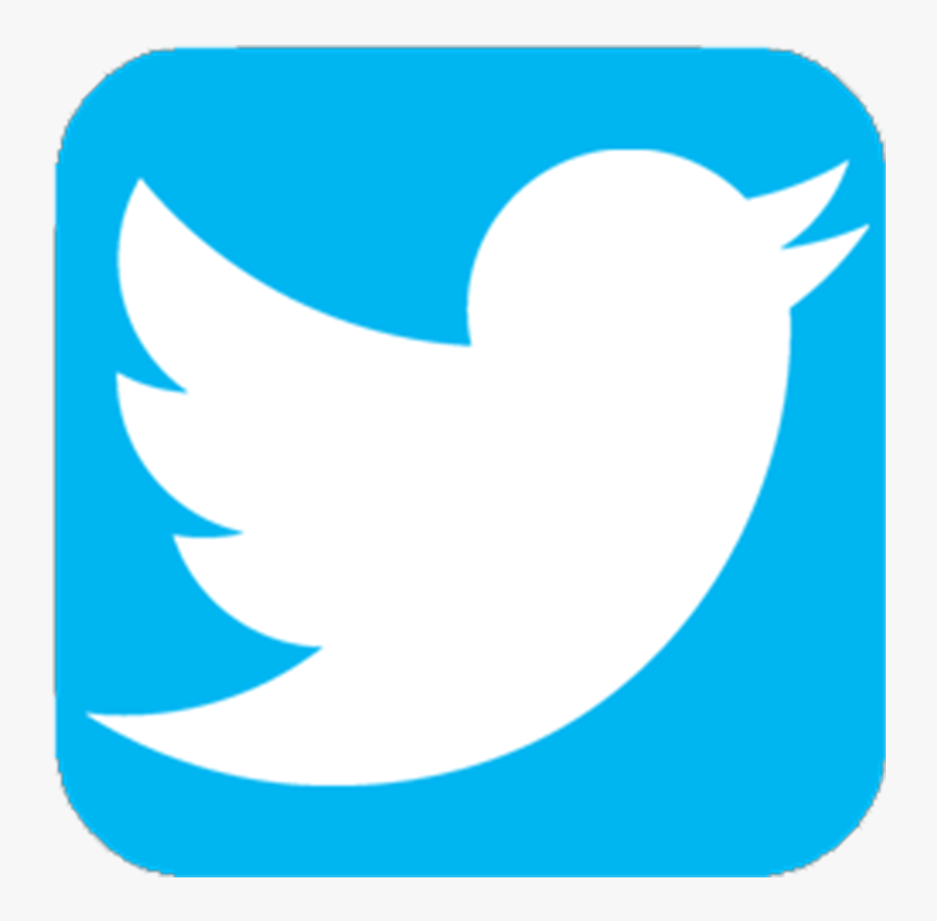 twitter icon.png