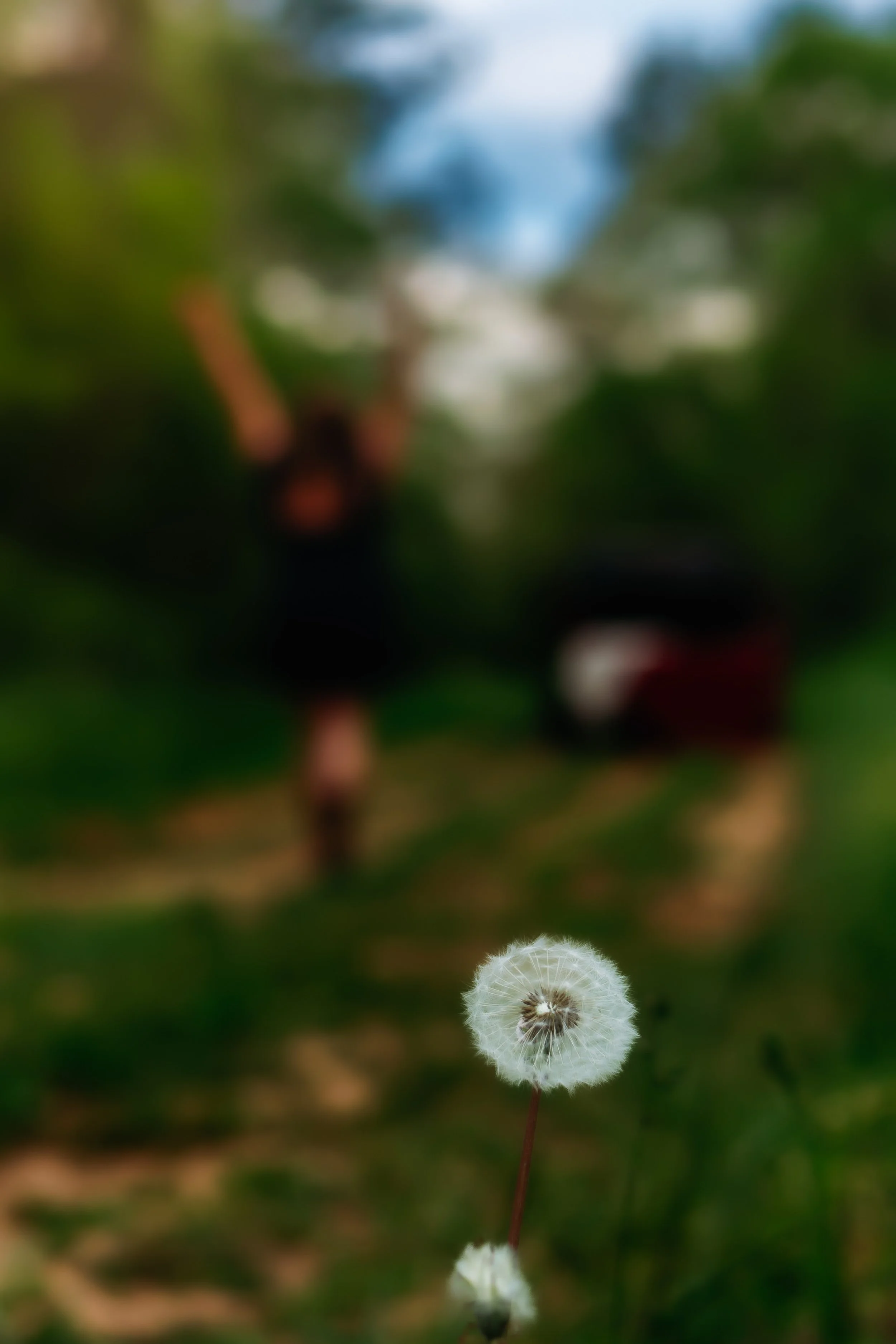 edited-outdoor-field-truck-40.jpg