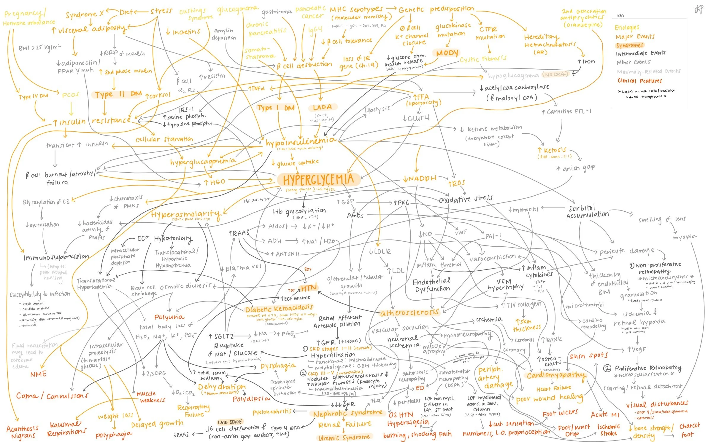 Endo- Diabetes-5.jpg