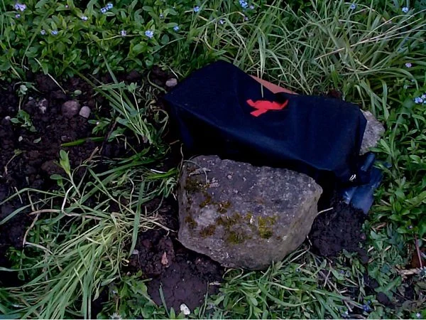'Earth Camera'