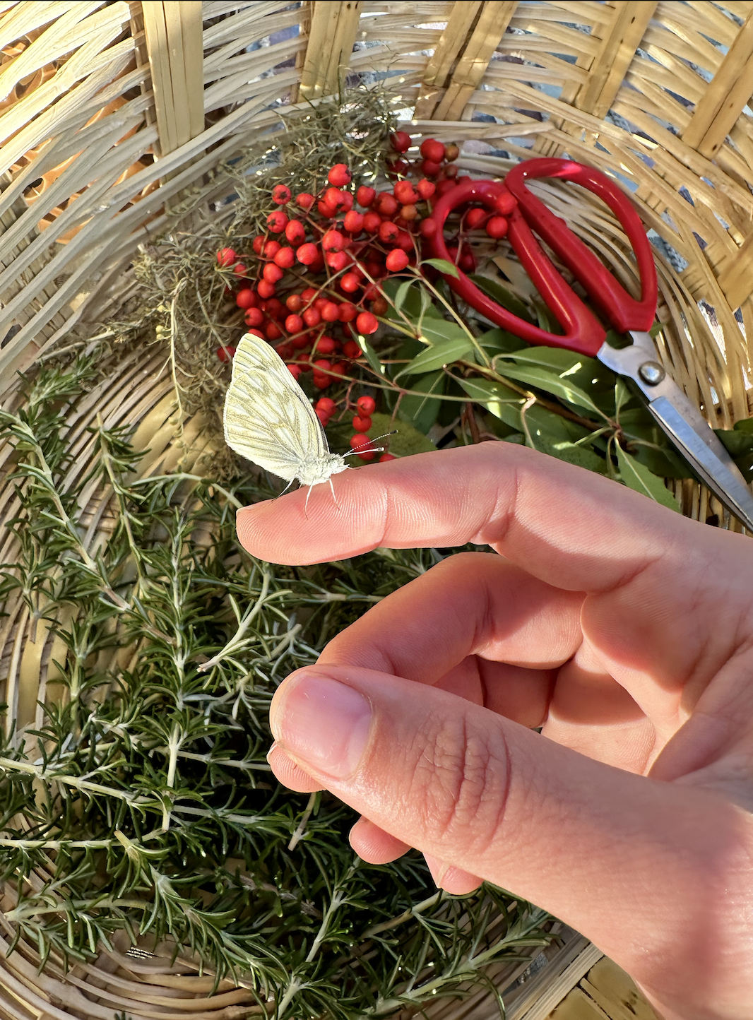 Screenshot 2023-12-12 at 11.08.58 AM.png