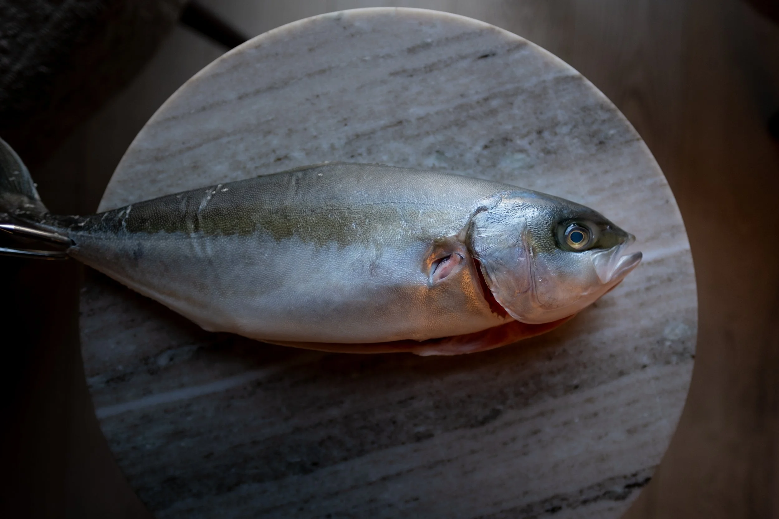 Photo 27-02-2025, 15 07 33.jpg