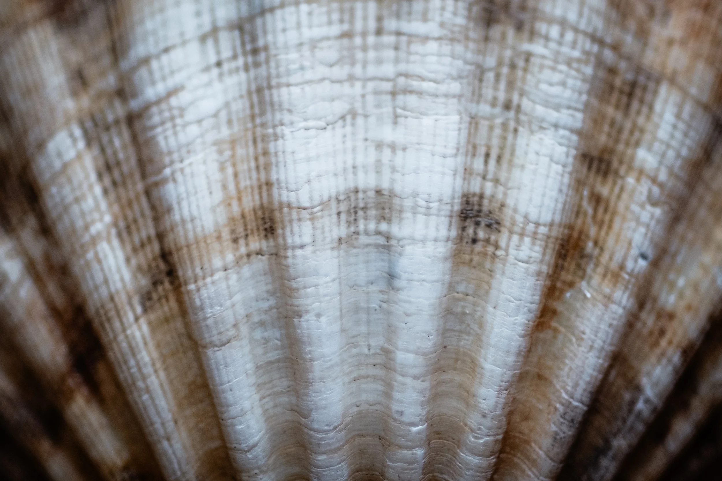 Photo 27-02-2025, 15 12 50.jpg