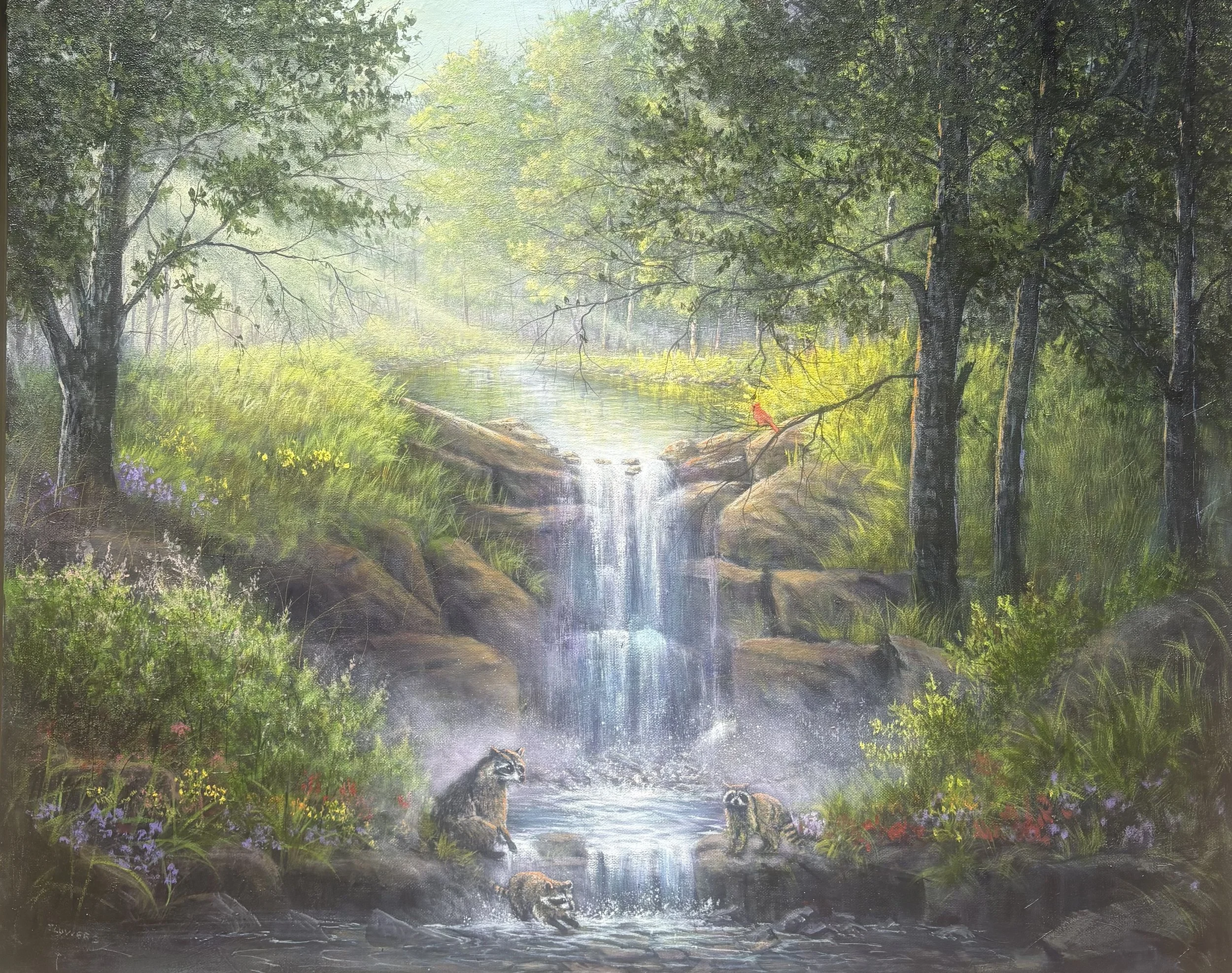 Raccoon Falls Playtime