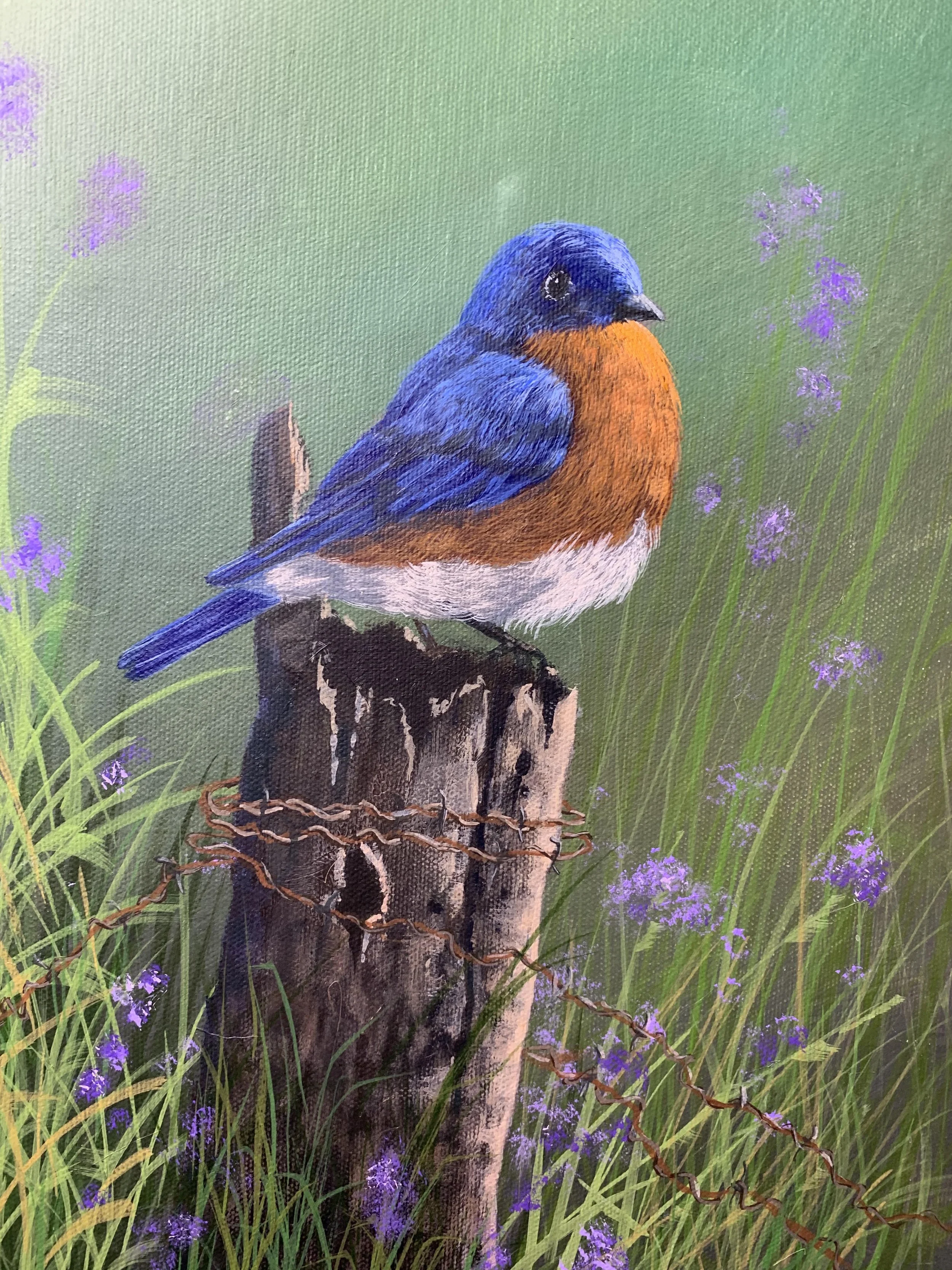 Bluebird Country