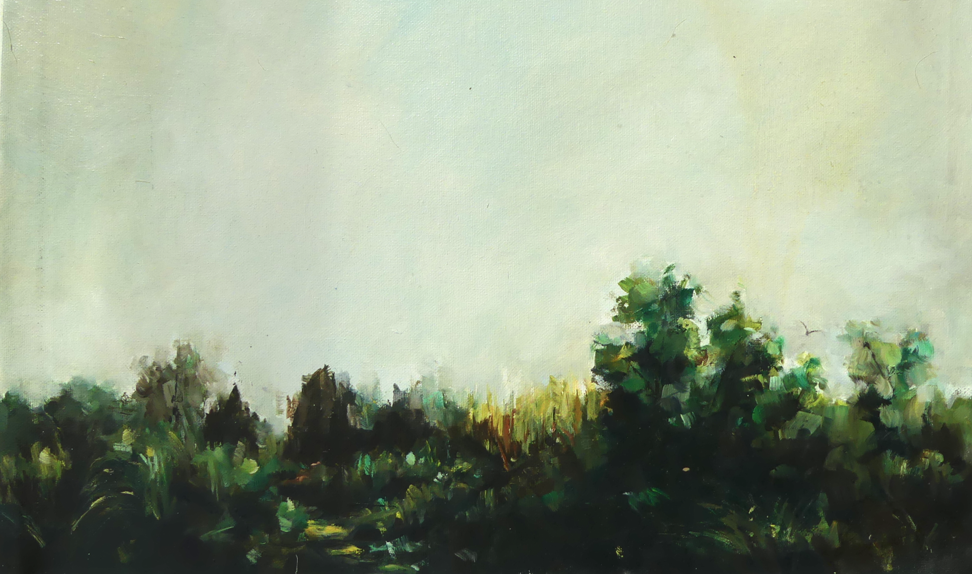 P1030554.png