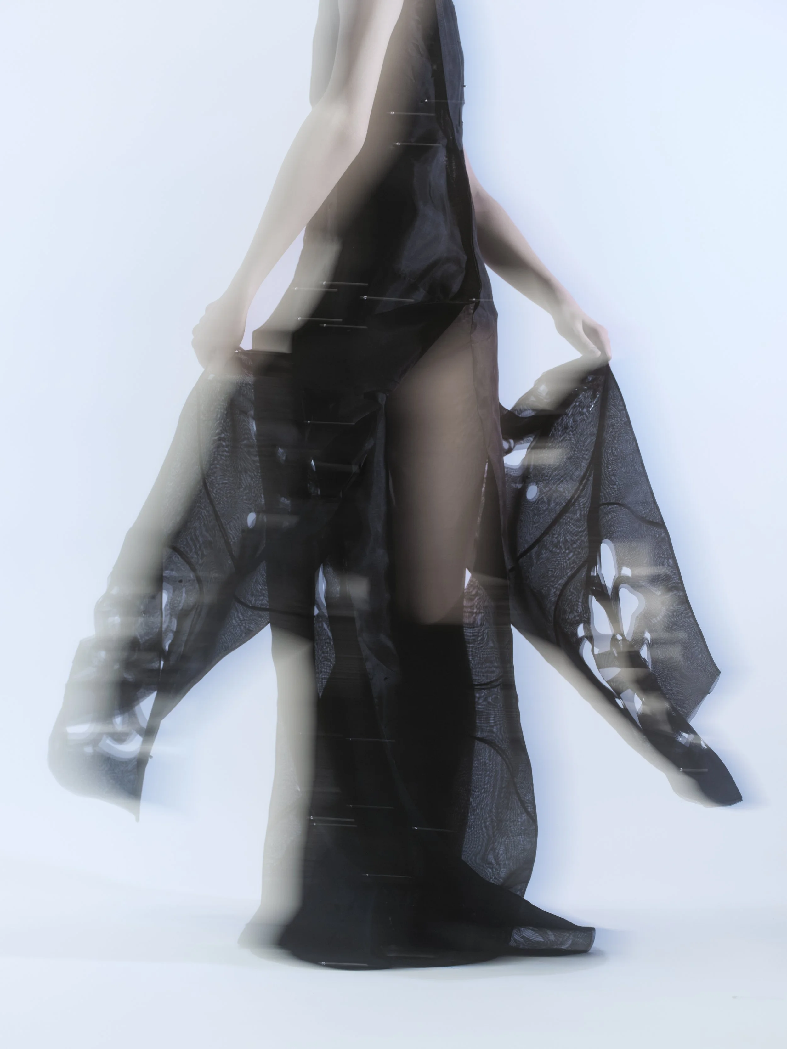 silin thesis3653.jpg