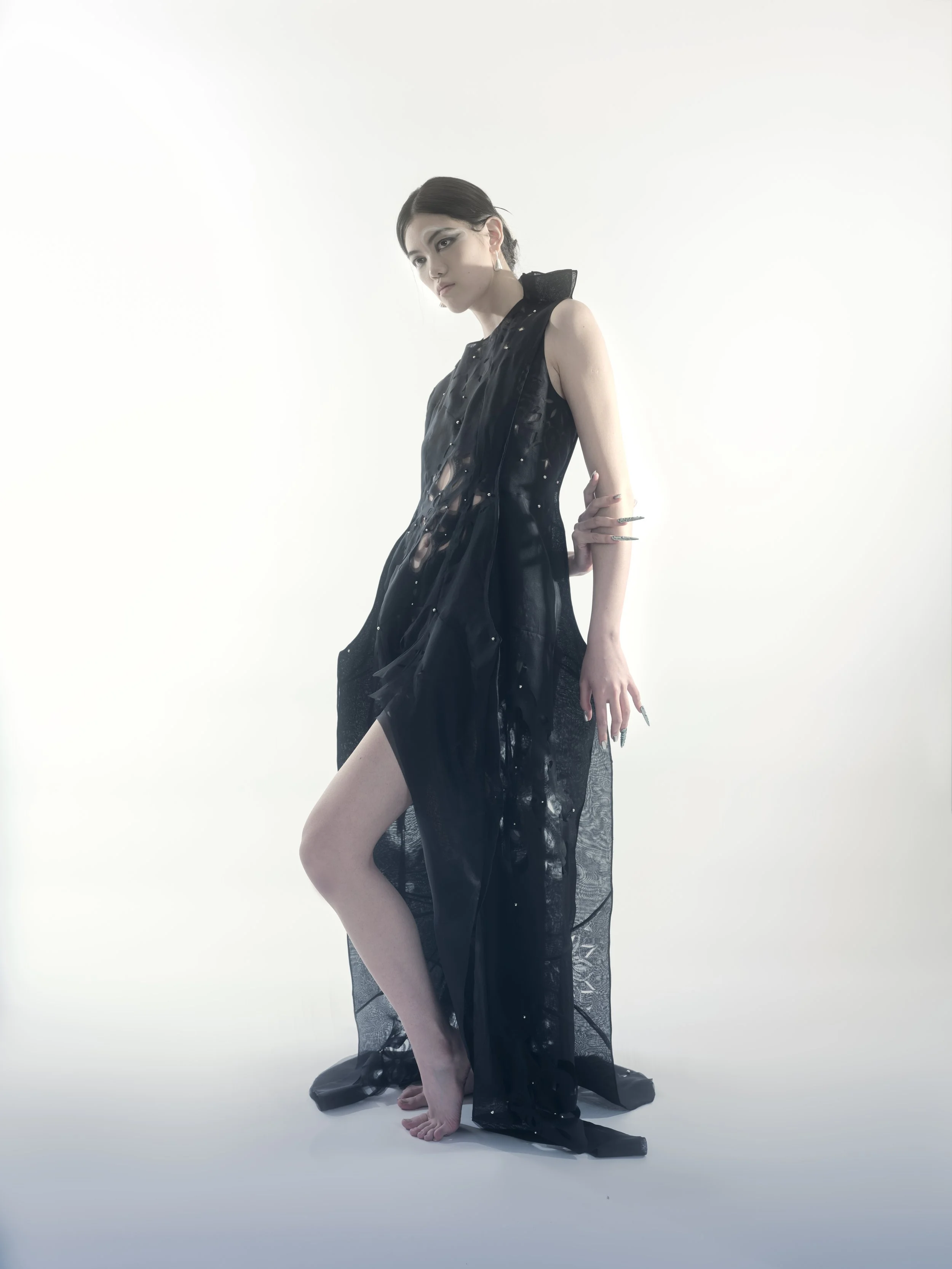 silin thesis3441.jpg