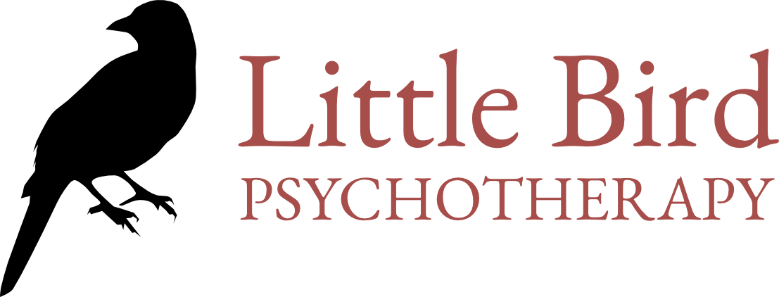 Little Bird Psychotherapy
