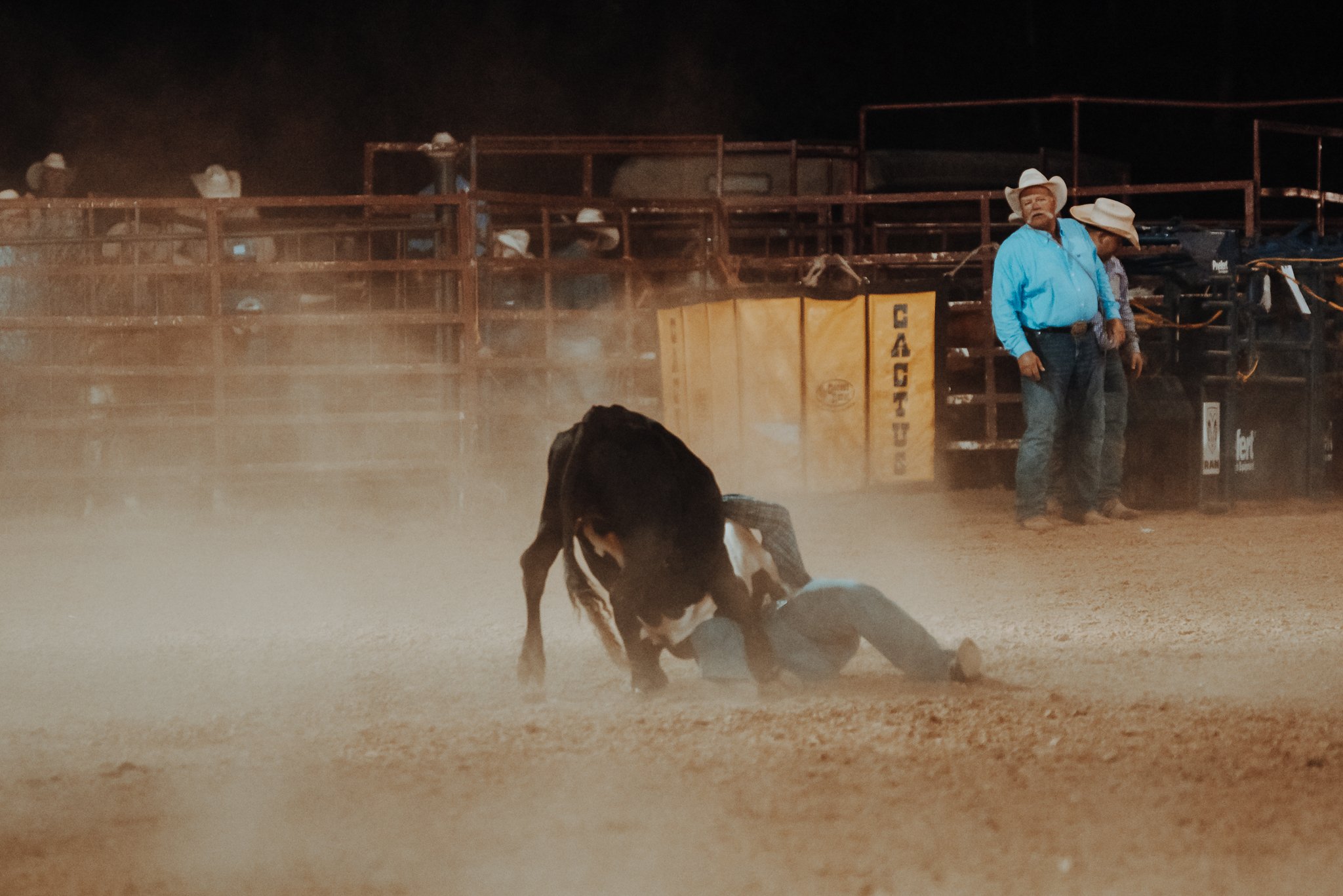 North and Wild Rodeo