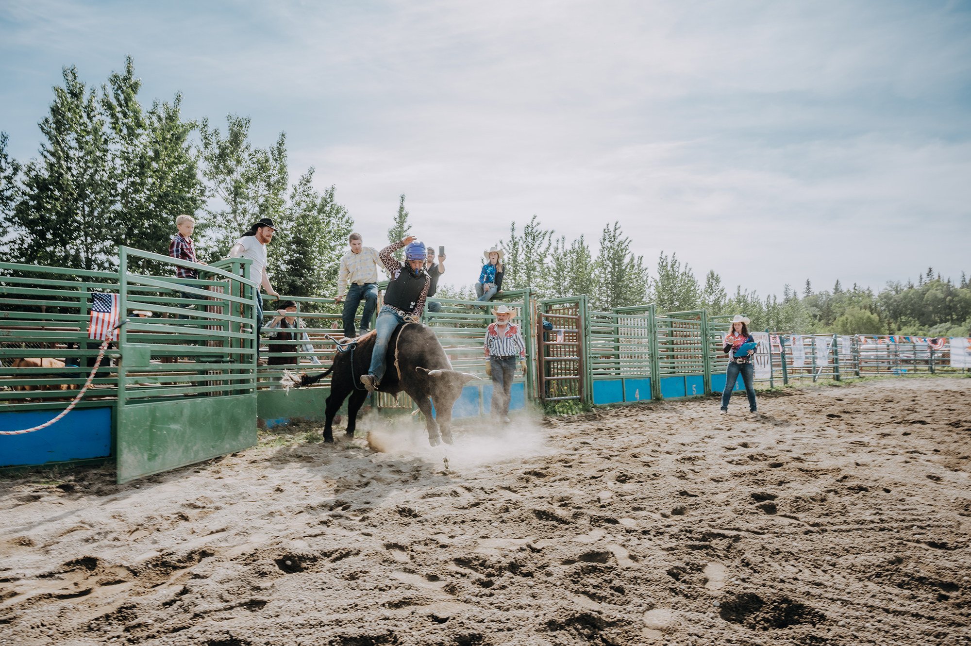 North and Wild Rodeo