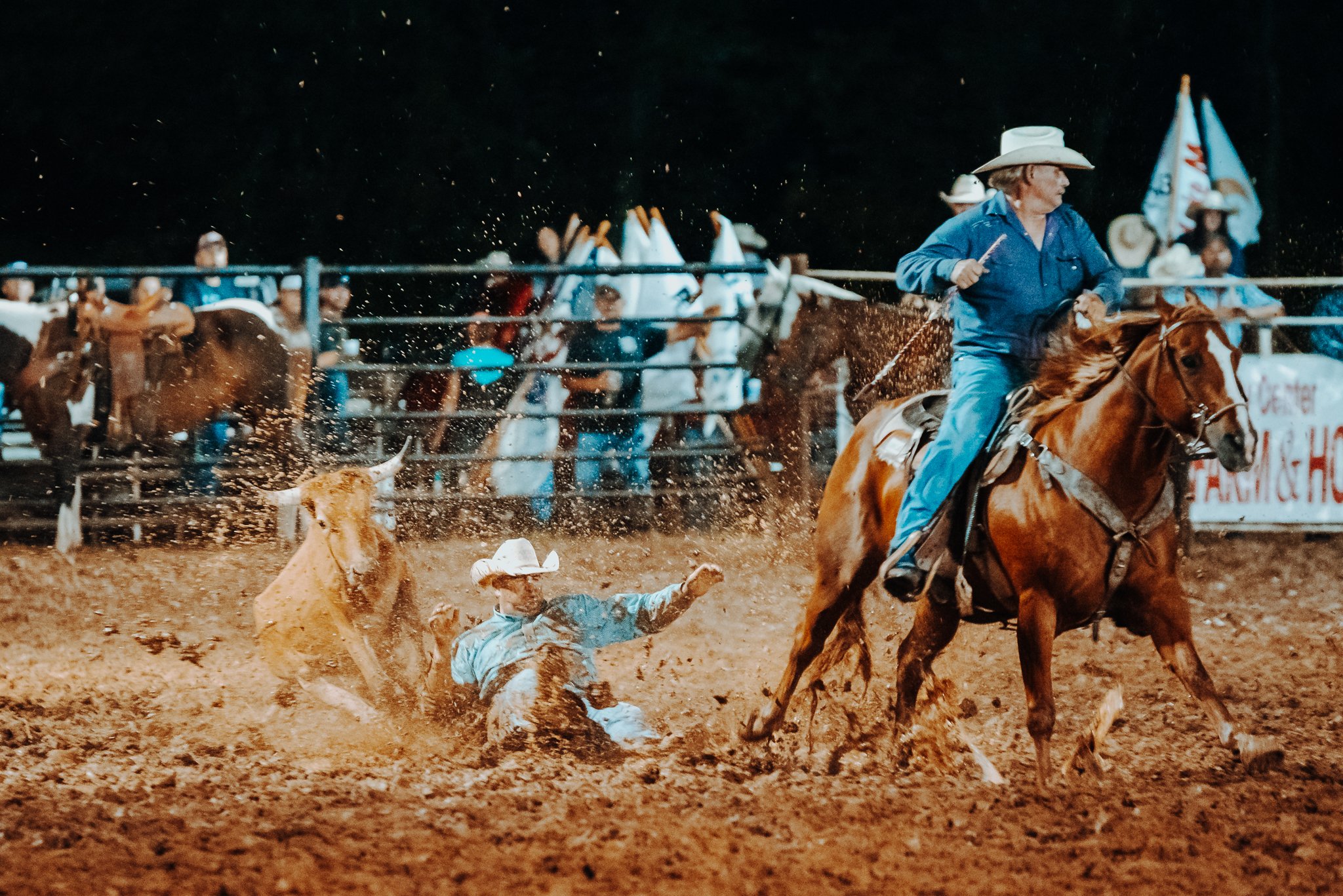 North and Wild Rodeo