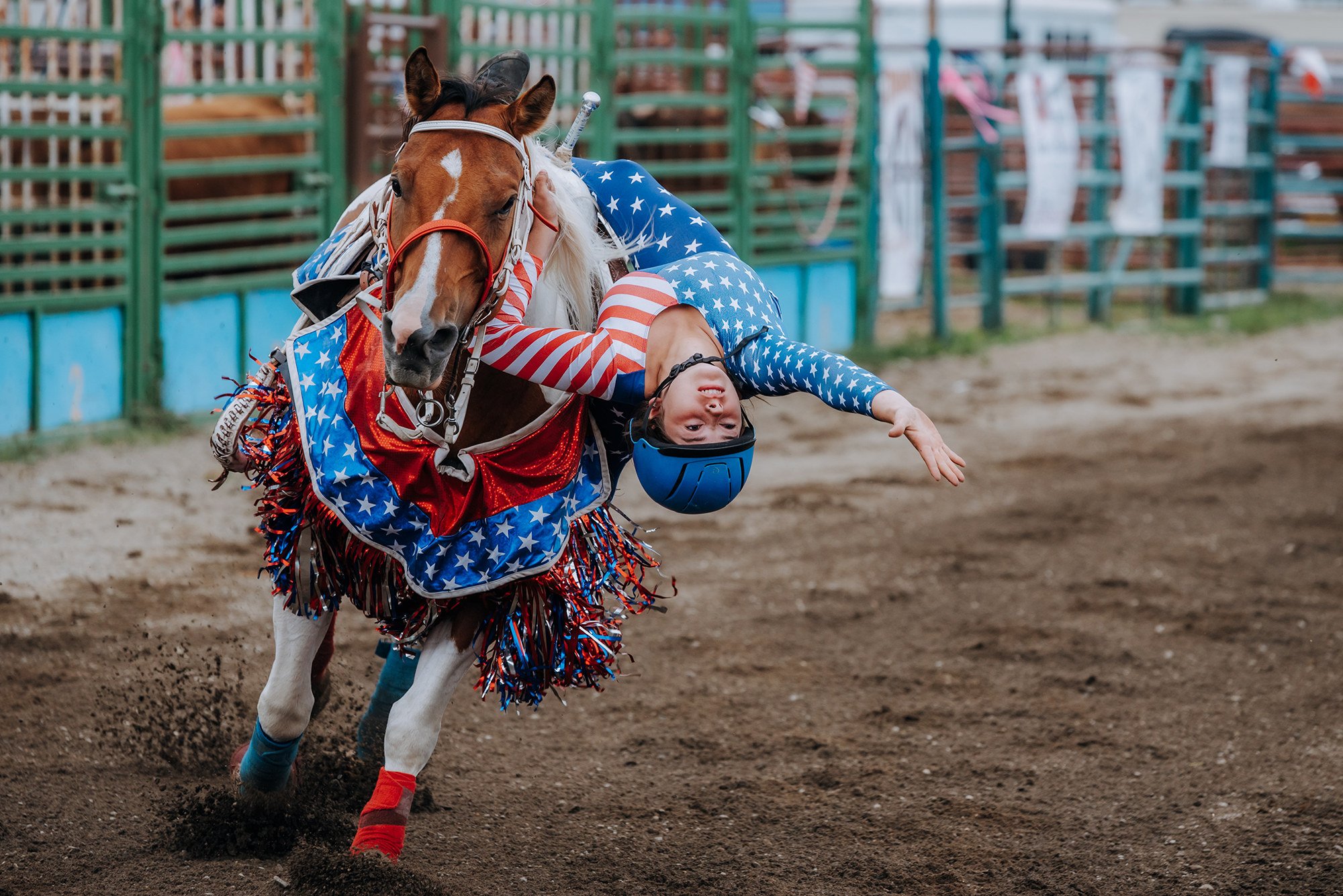 North and Wild Rodeo